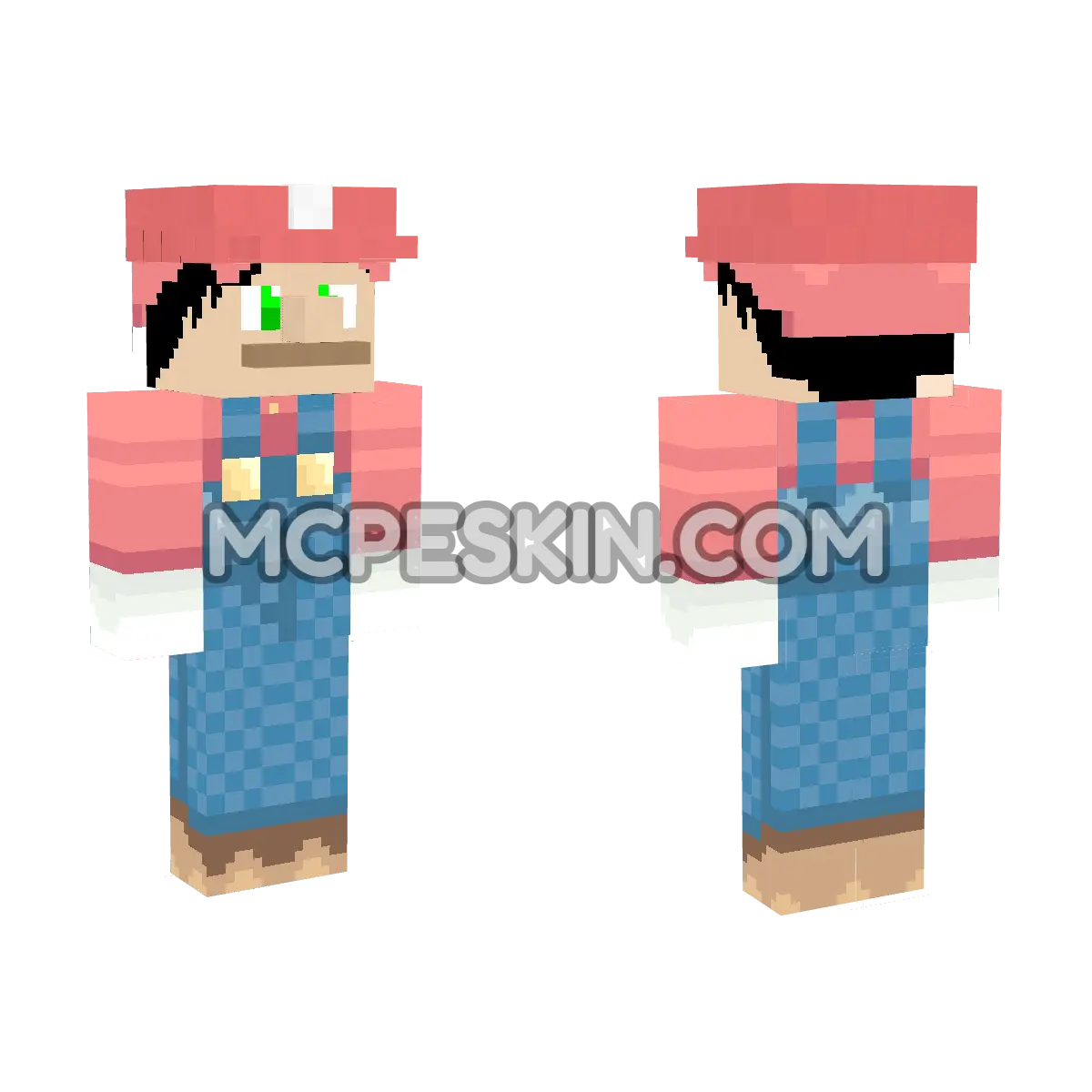 Mario 16 4D Minecraft Bedrock skin