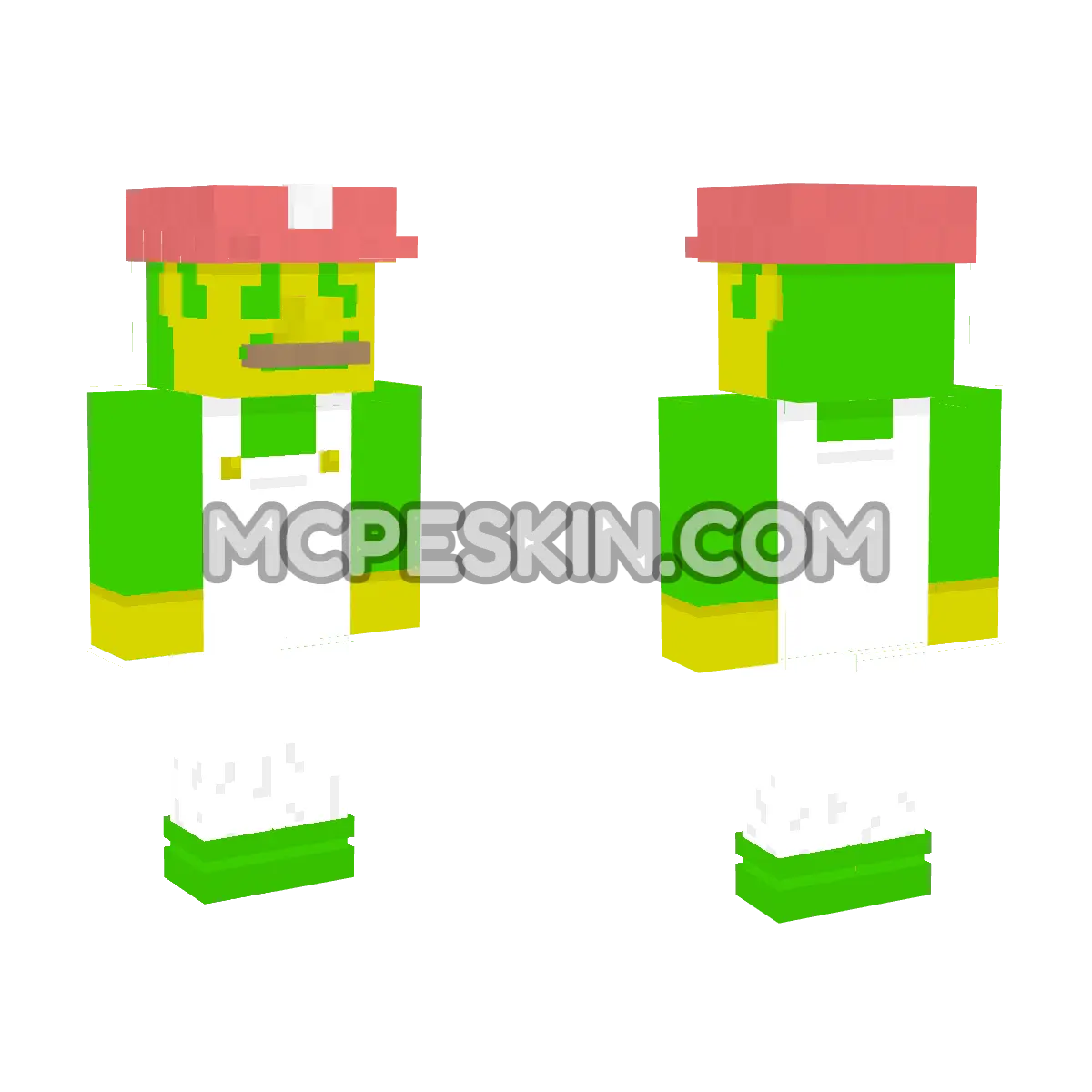 Mario 17 4D Minecraft Bedrock skin