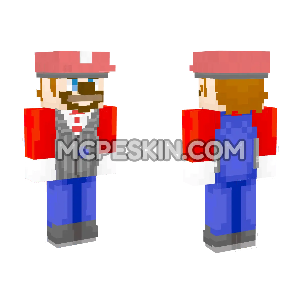 Mario 18 4D Minecraft Bedrock skin
