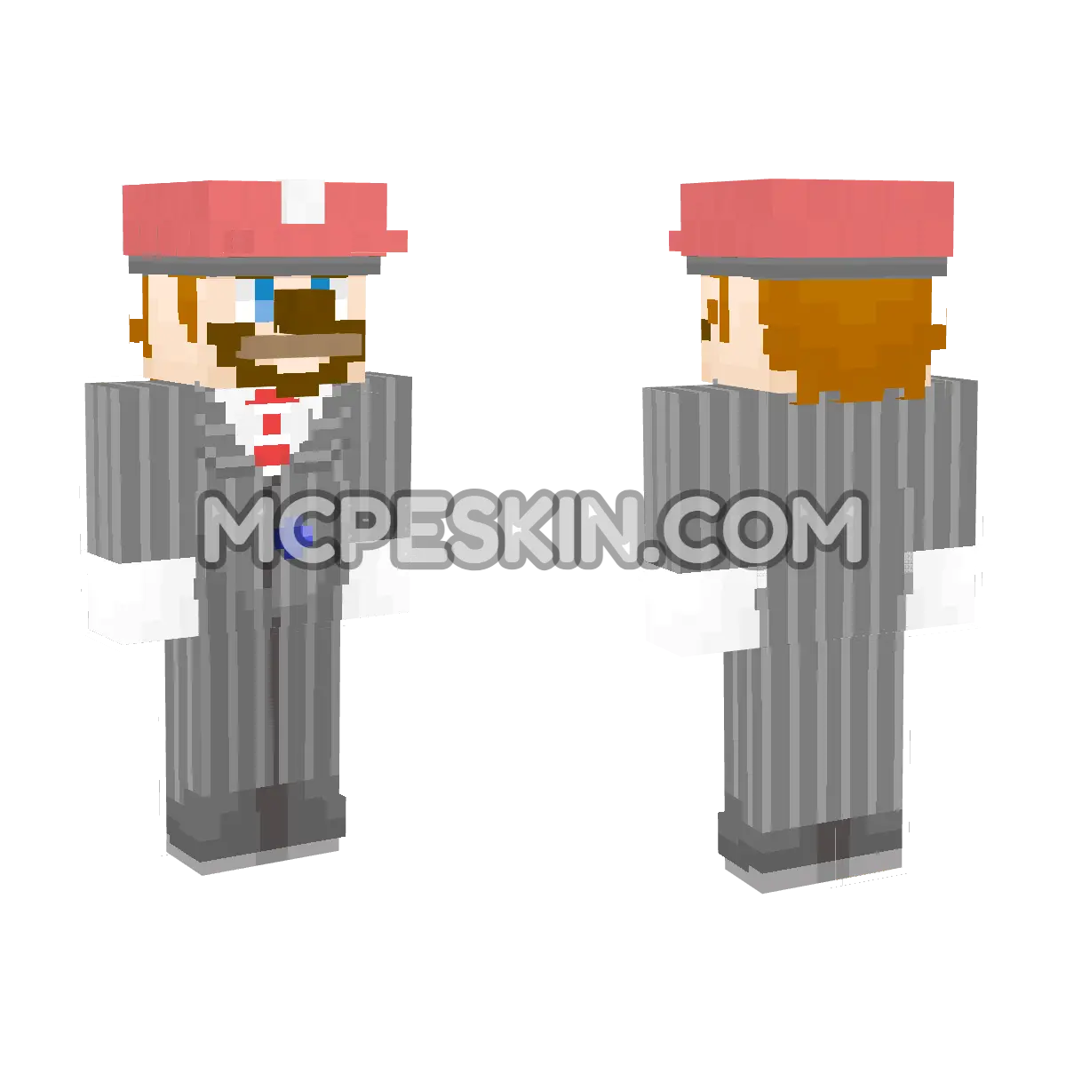 Mario 19 4D Minecraft Bedrock skin