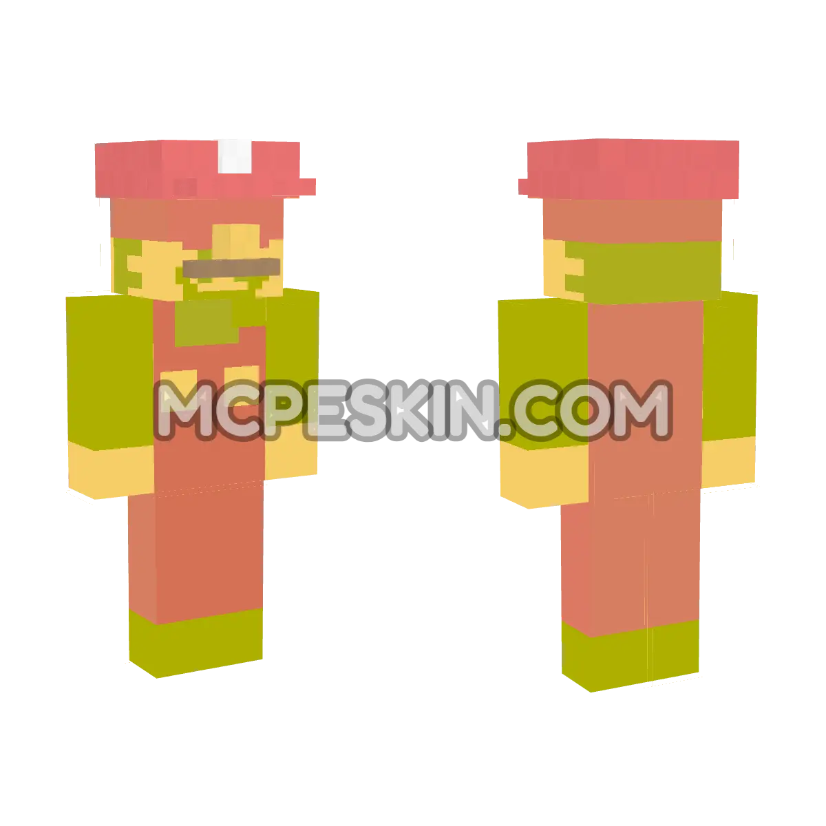Mario 2 4D Minecraft Bedrock skin