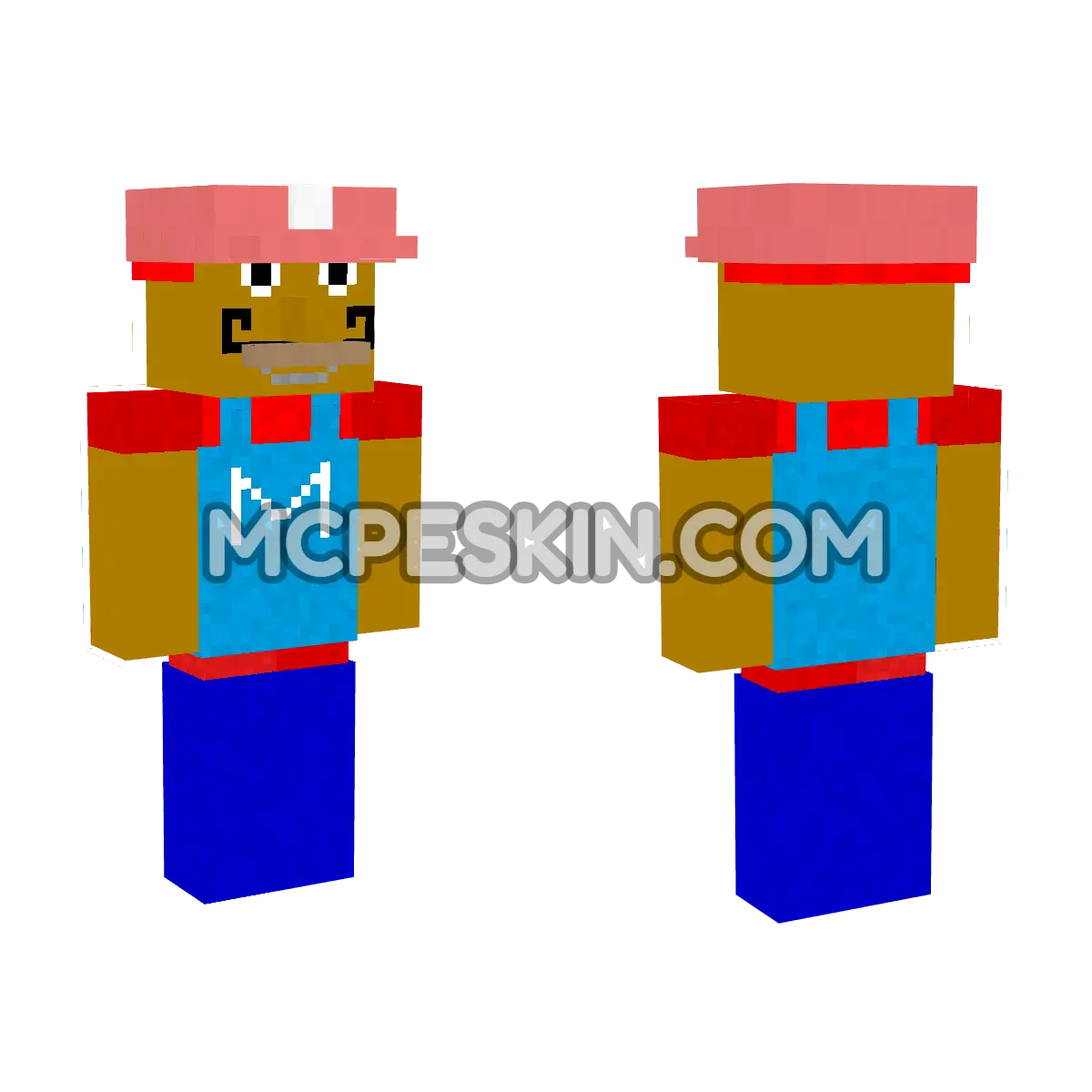 Mario 20 4D Minecraft Bedrock skin