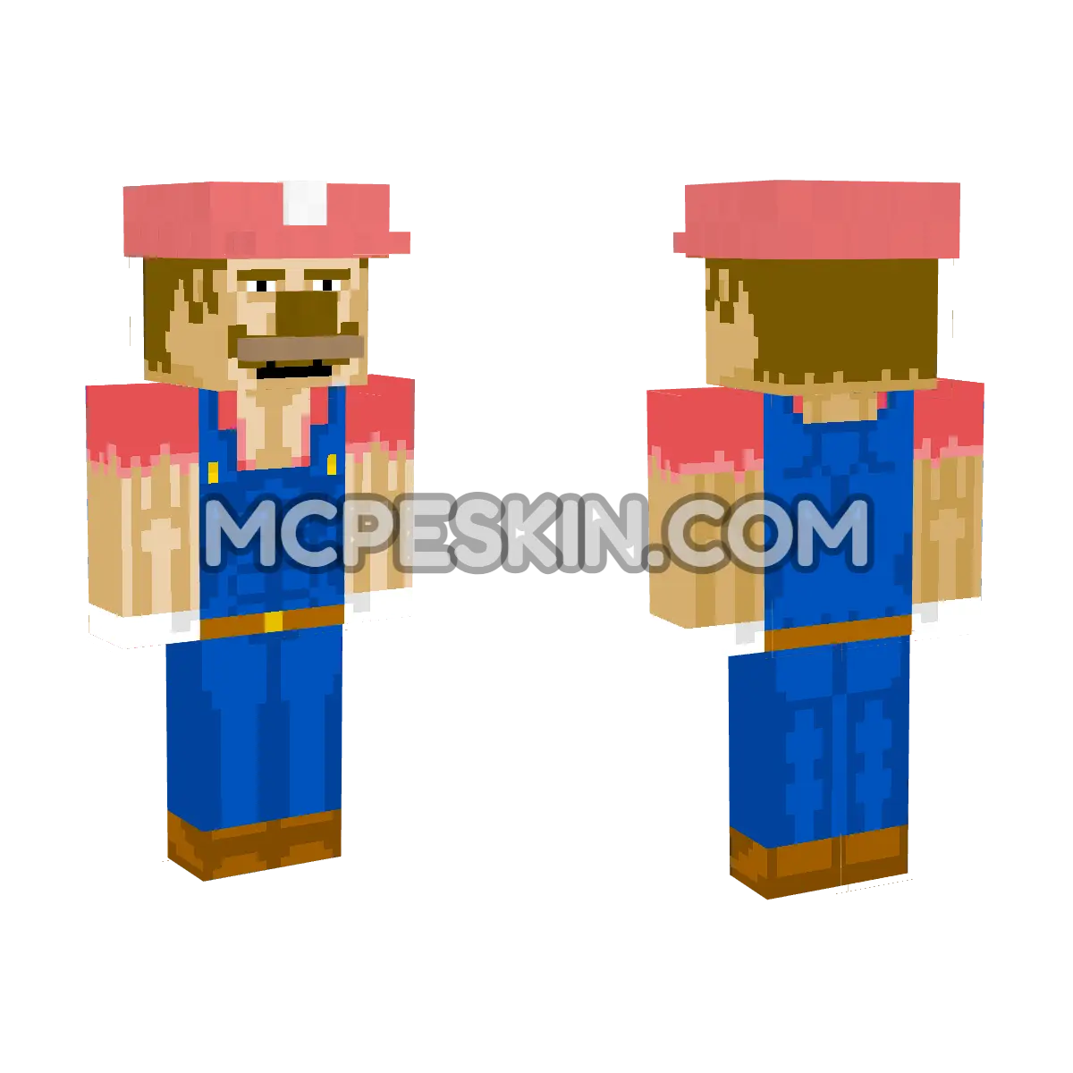 Mario 3 4D Minecraft Bedrock skin