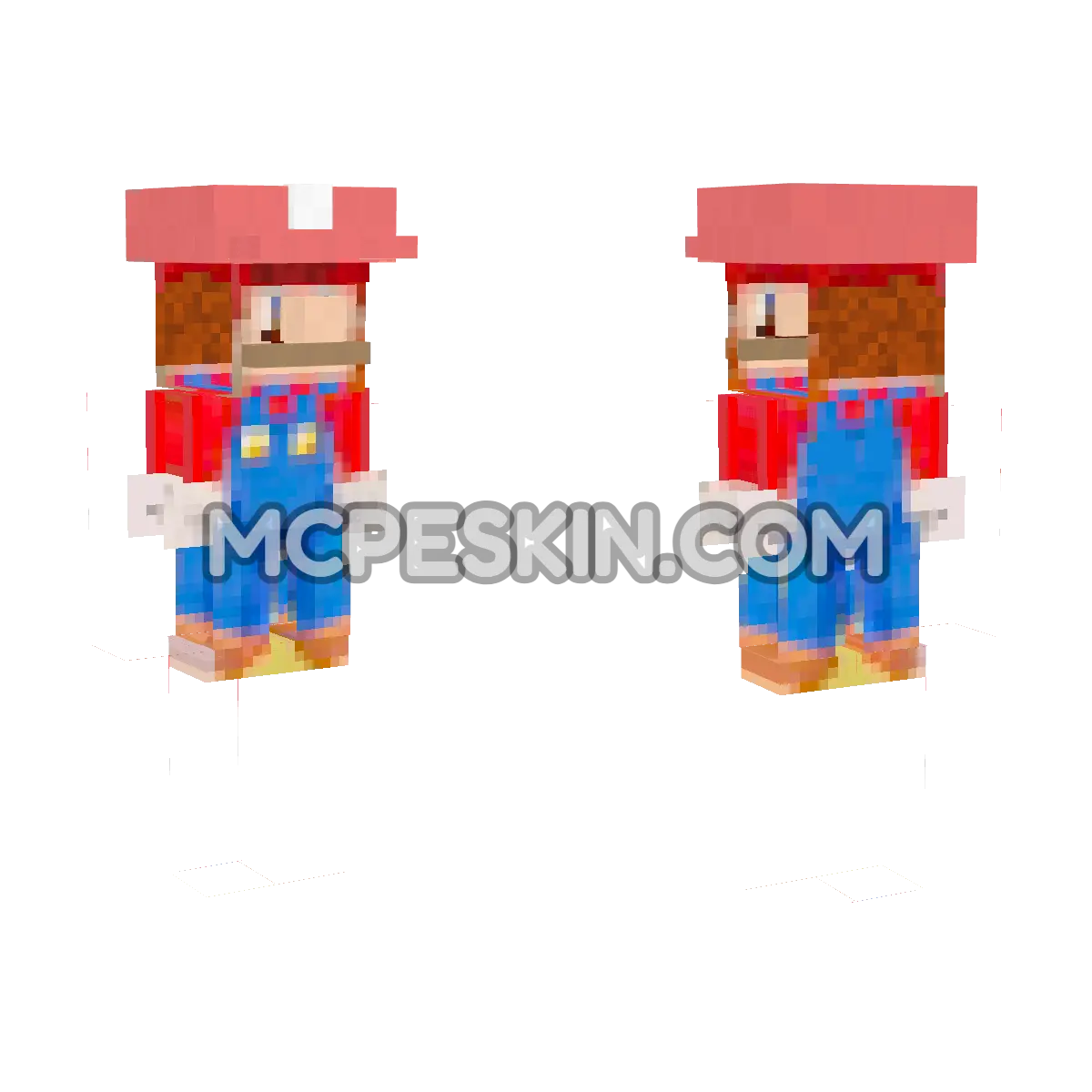 Mario 5 4D Minecraft Bedrock skin