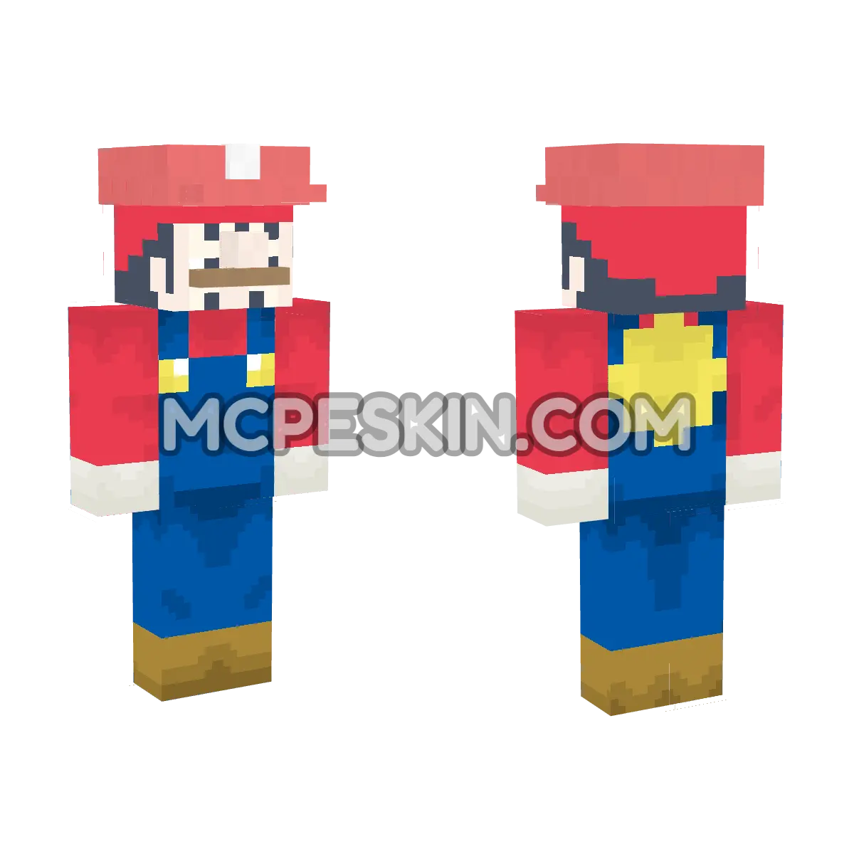 Mario 6 4D Minecraft Bedrock skin