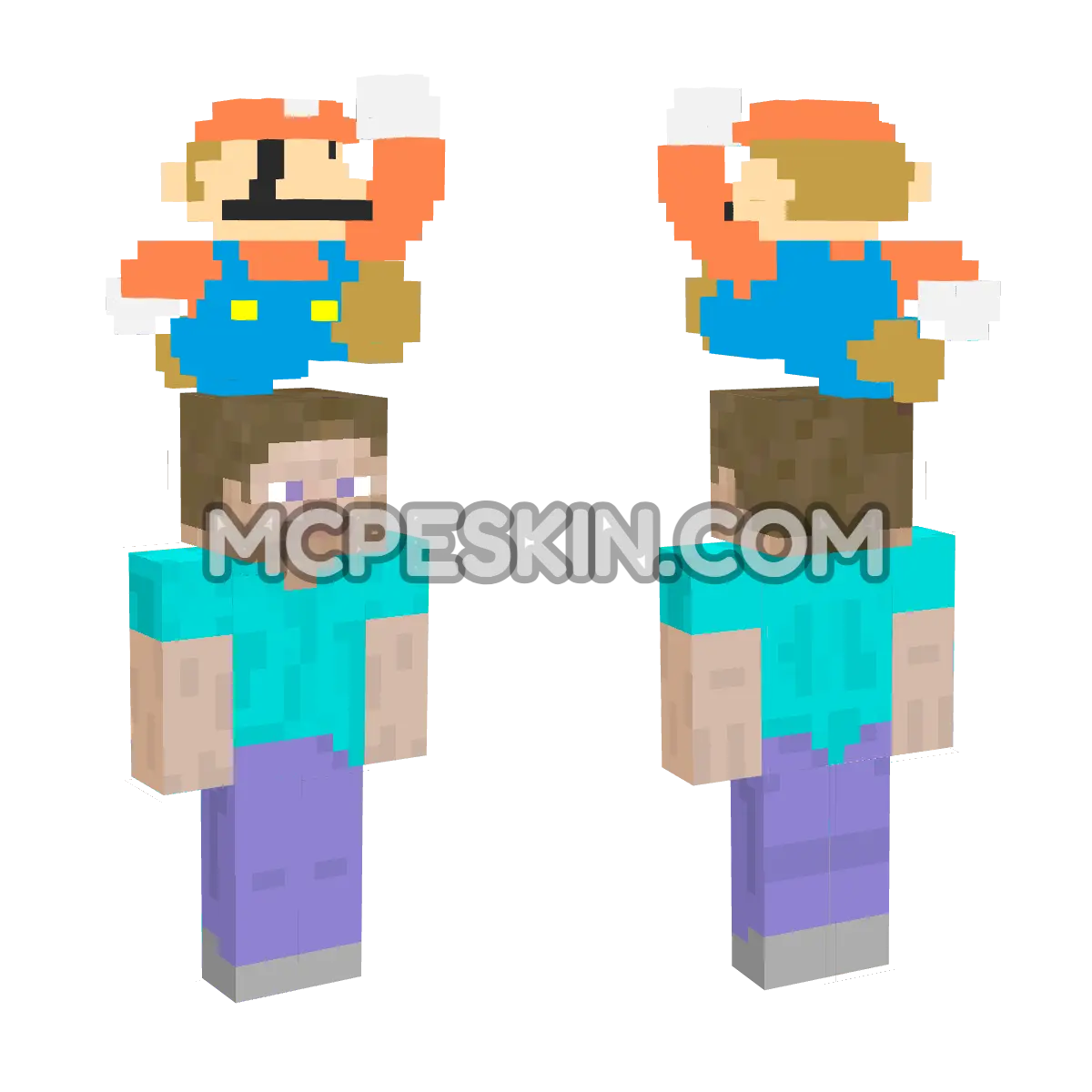 Mario 4D Minecraft Bedrock skin
