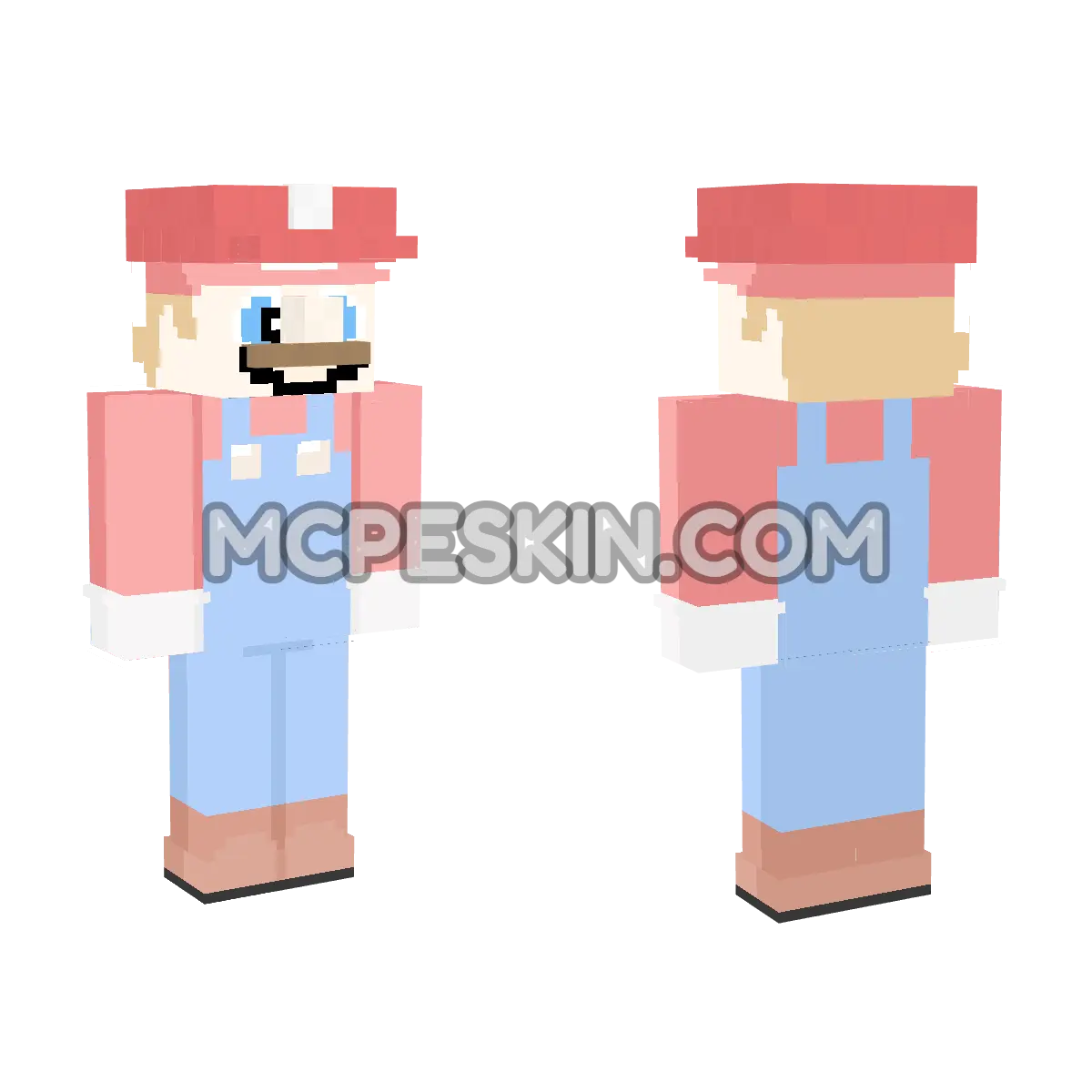 Mario 9 4D Minecraft Bedrock skin