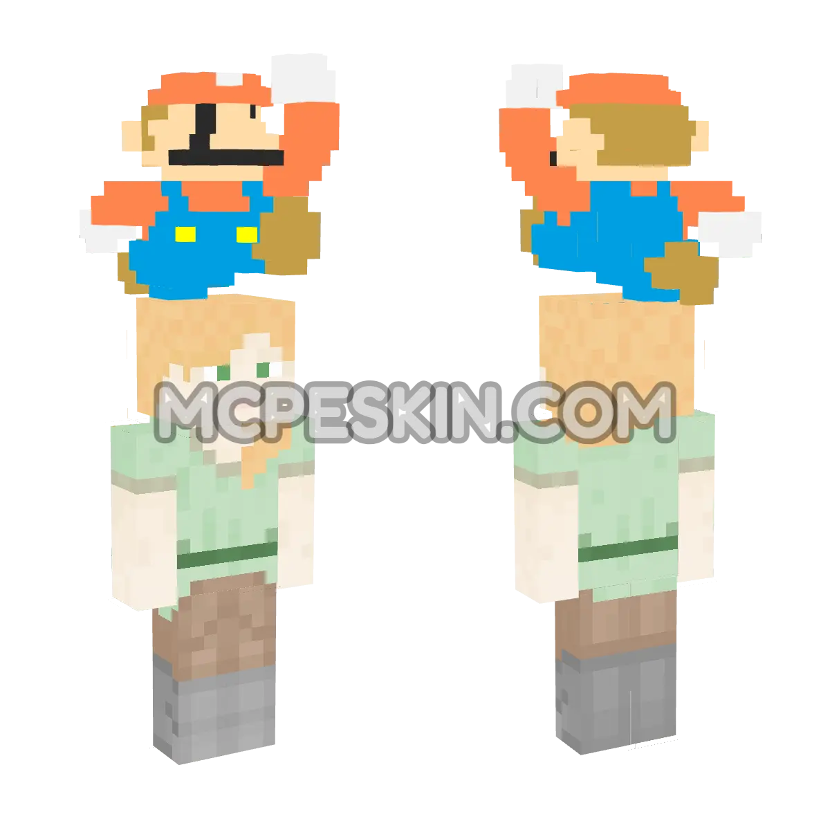 Mario 4D Minecraft Bedrock skin