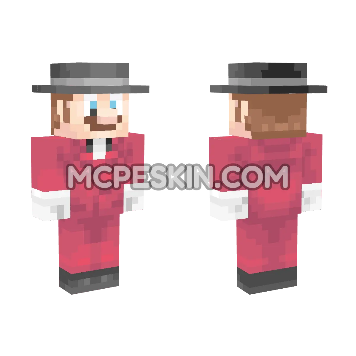 Mario (Musician) 4D Minecraft Bedrock skin