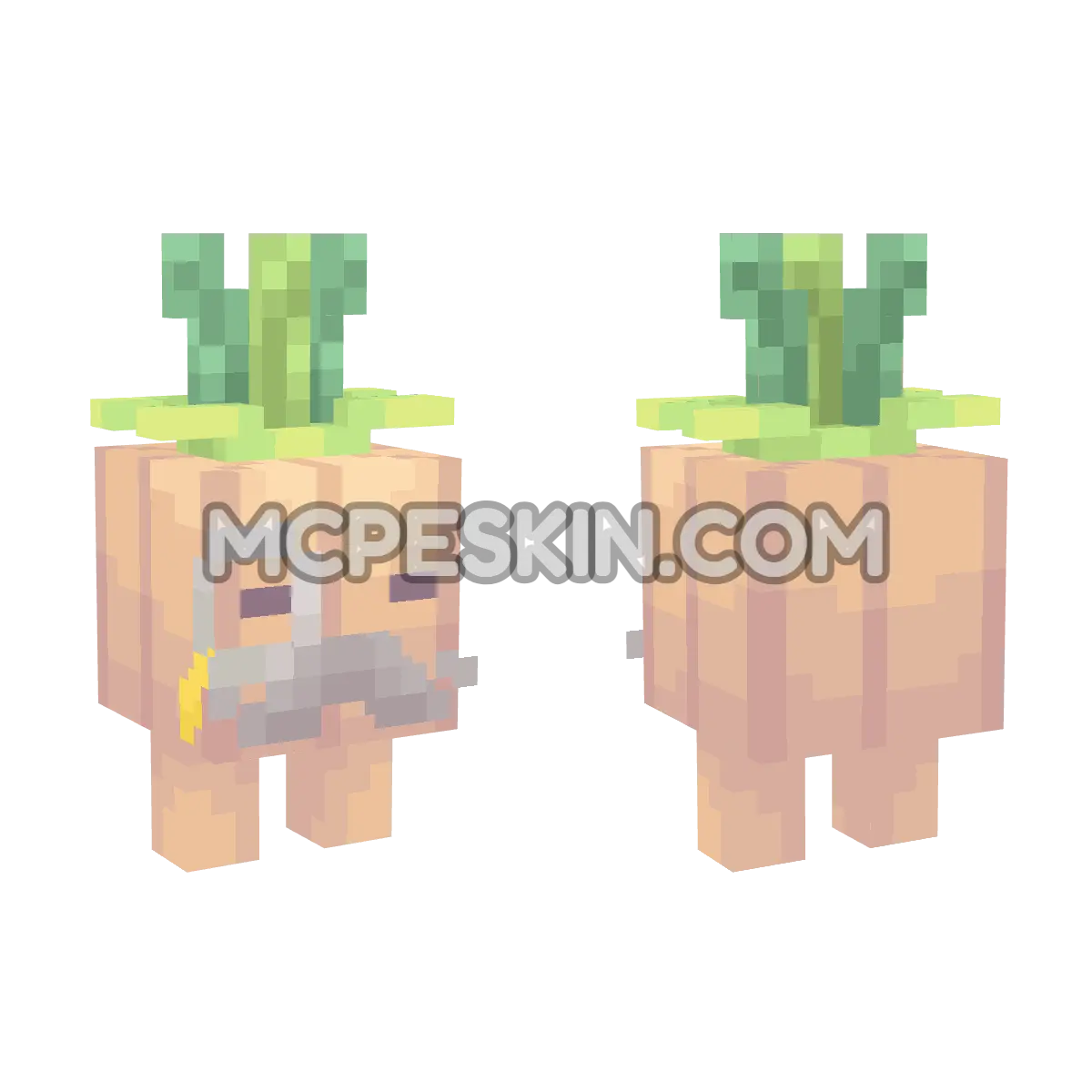 Mayor Onion 4D Minecraft Bedrock skin