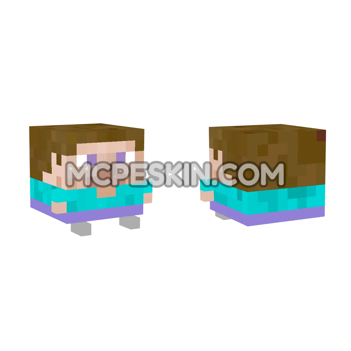 Mini Steve 4D Minecraft Bedrock skin