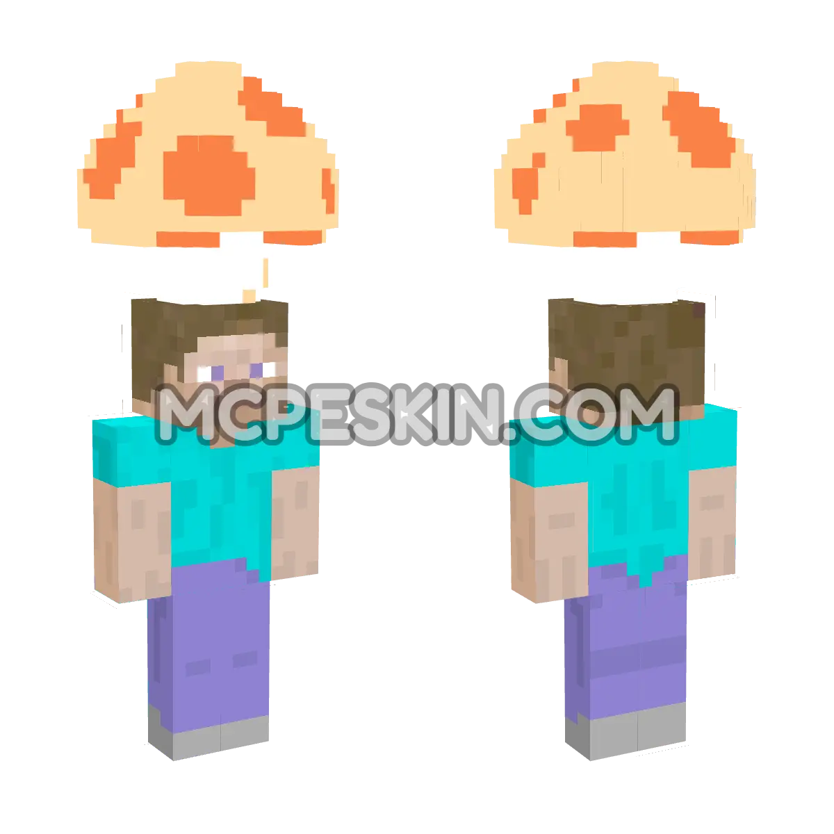 Mushroom 4D Minecraft Bedrock skin