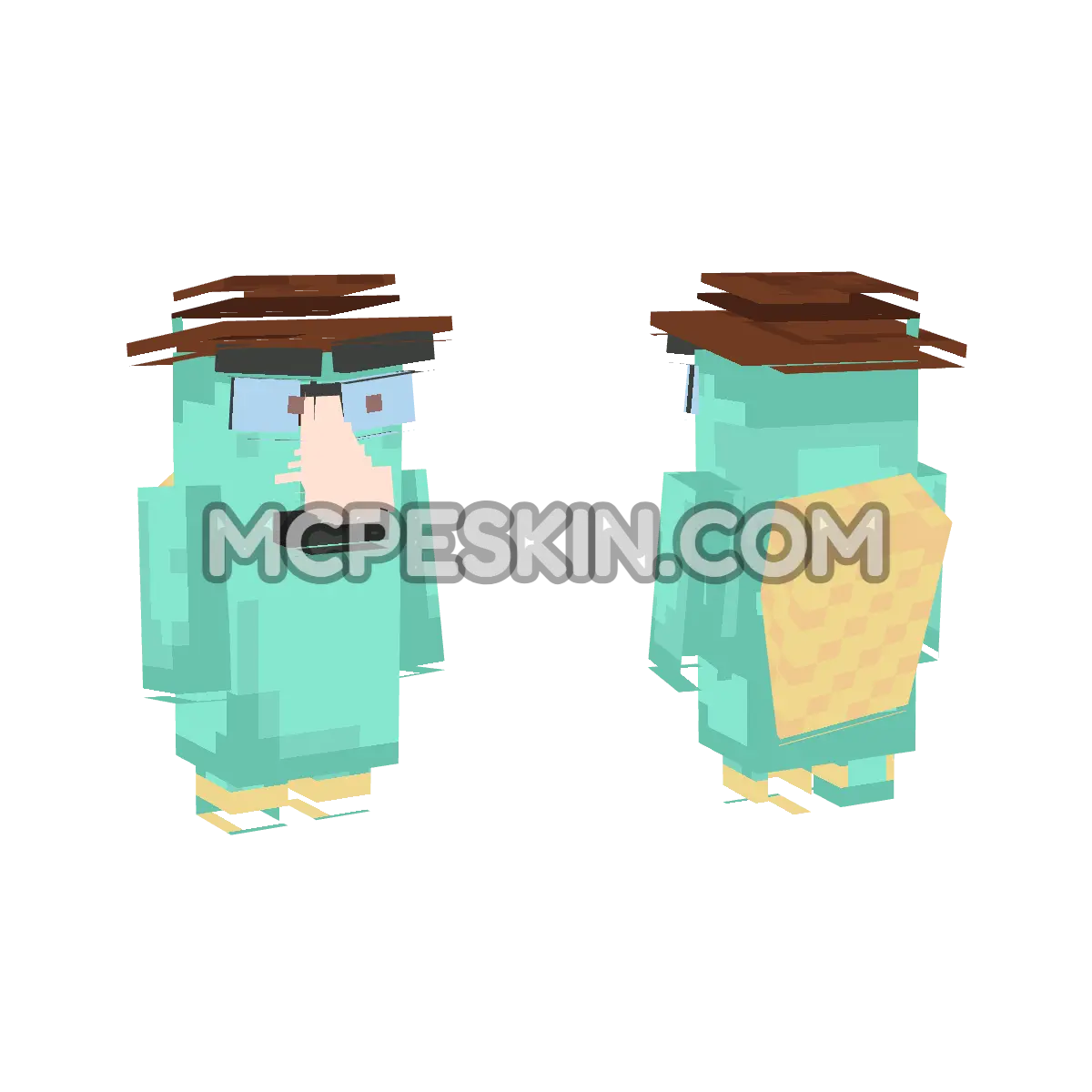 nariz 4D Minecraft Bedrock skin