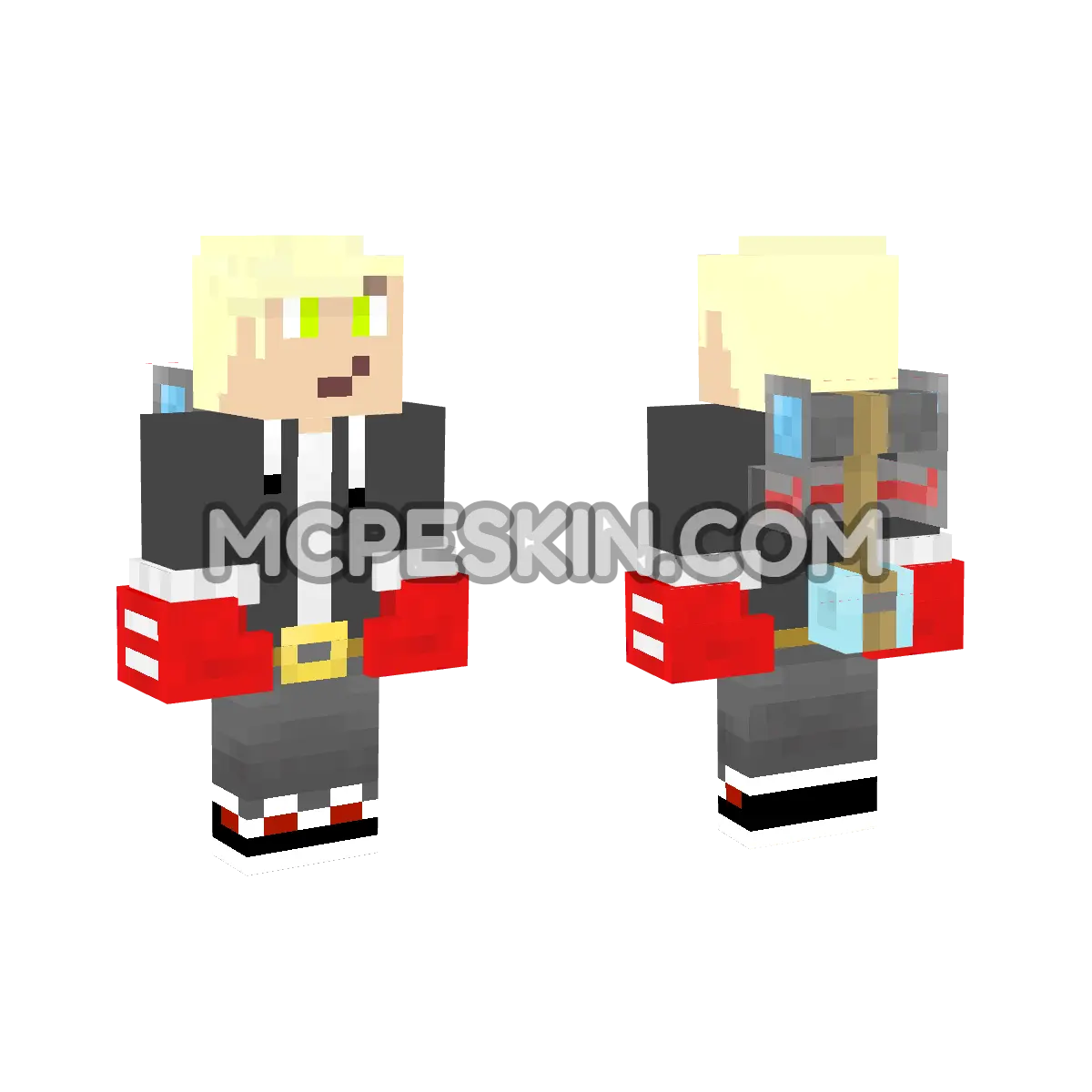 Ncp1 4D Minecraft Bedrock skin
