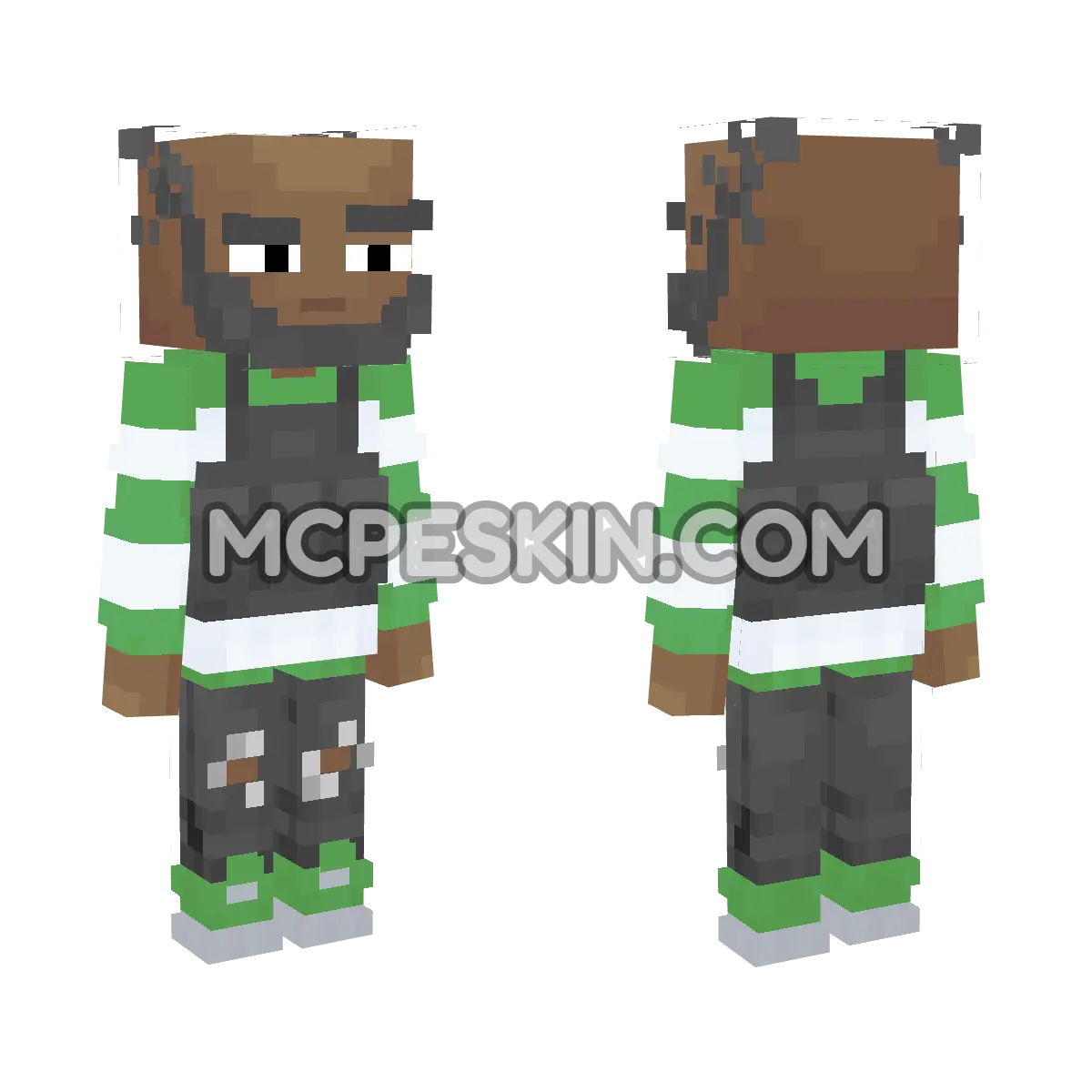 ng2 4D Minecraft Bedrock skin