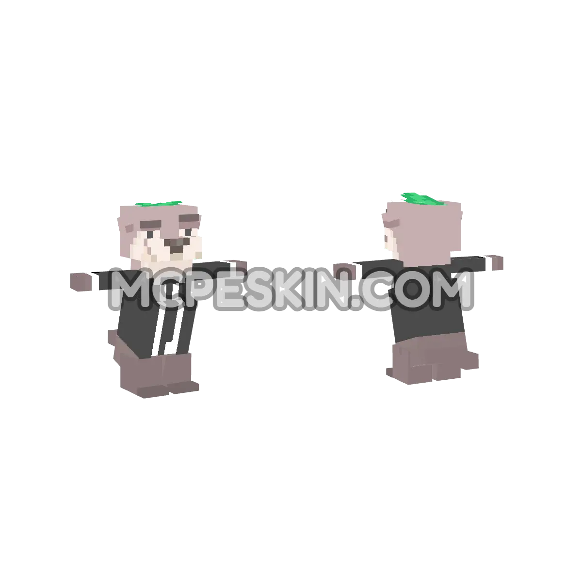 Nutria EleganteTP 4D Minecraft Bedrock skin