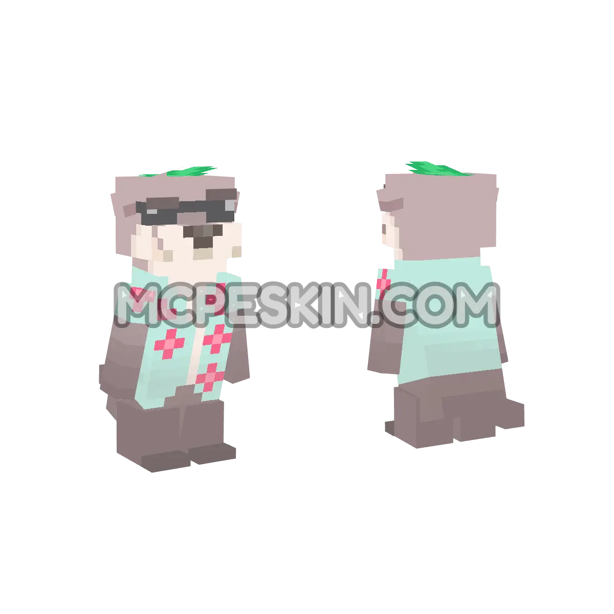 Nutria playa 4D Minecraft Bedrock skin