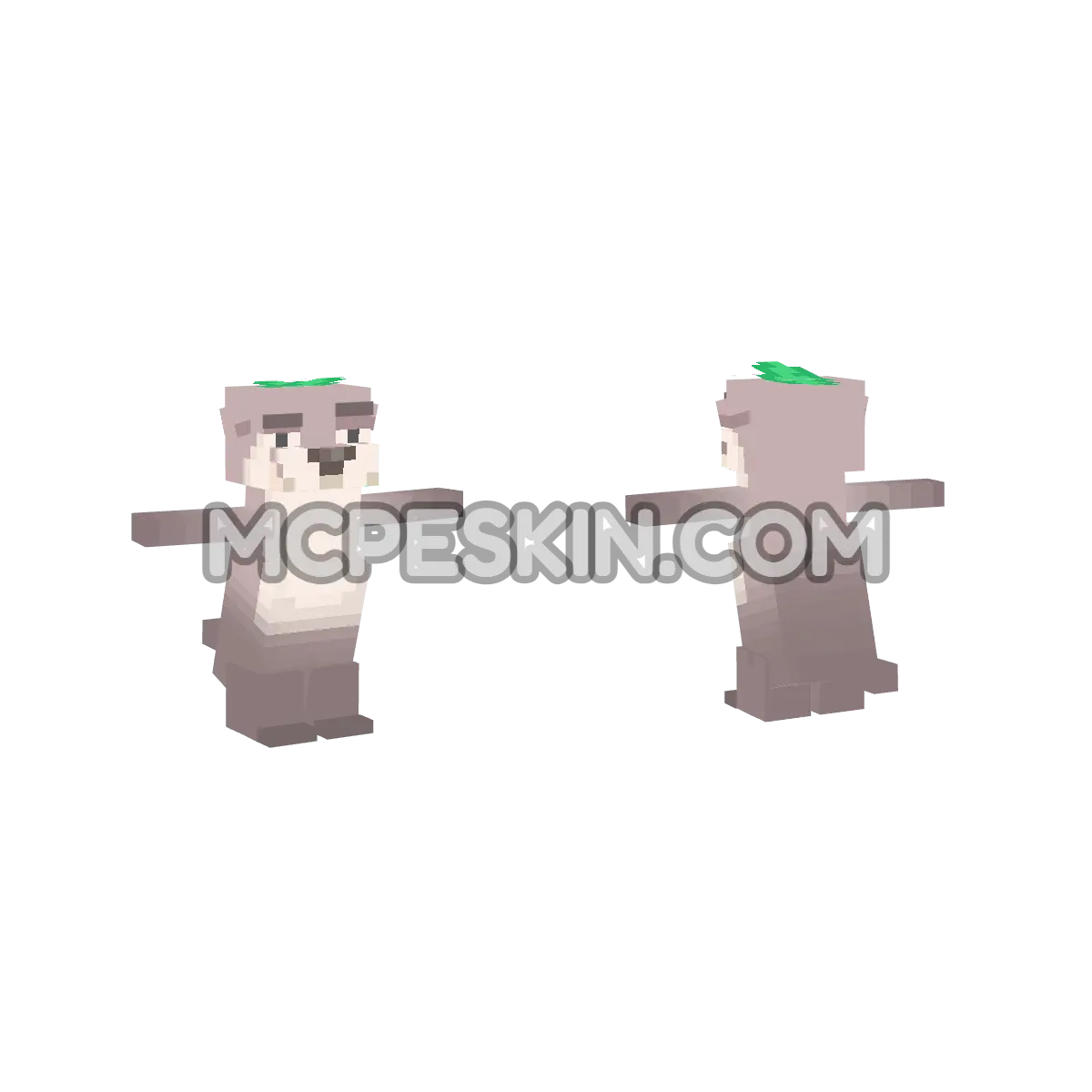 NutriaTP 4D Minecraft Bedrock skin