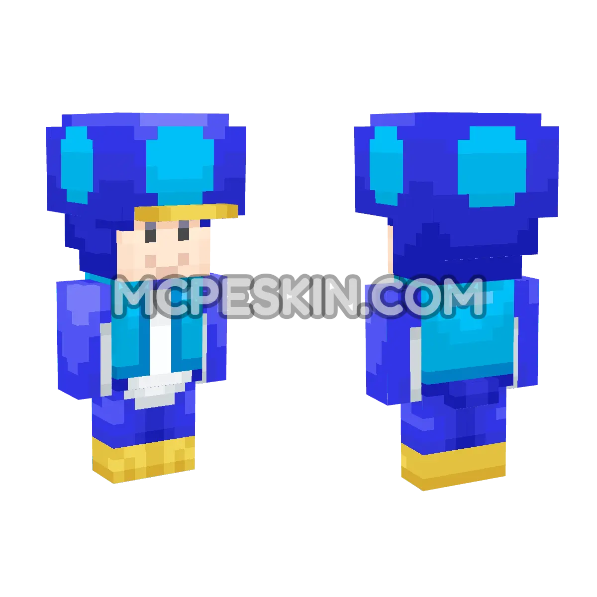 Penguin Toad (Blue) 4D Minecraft Bedrock skin