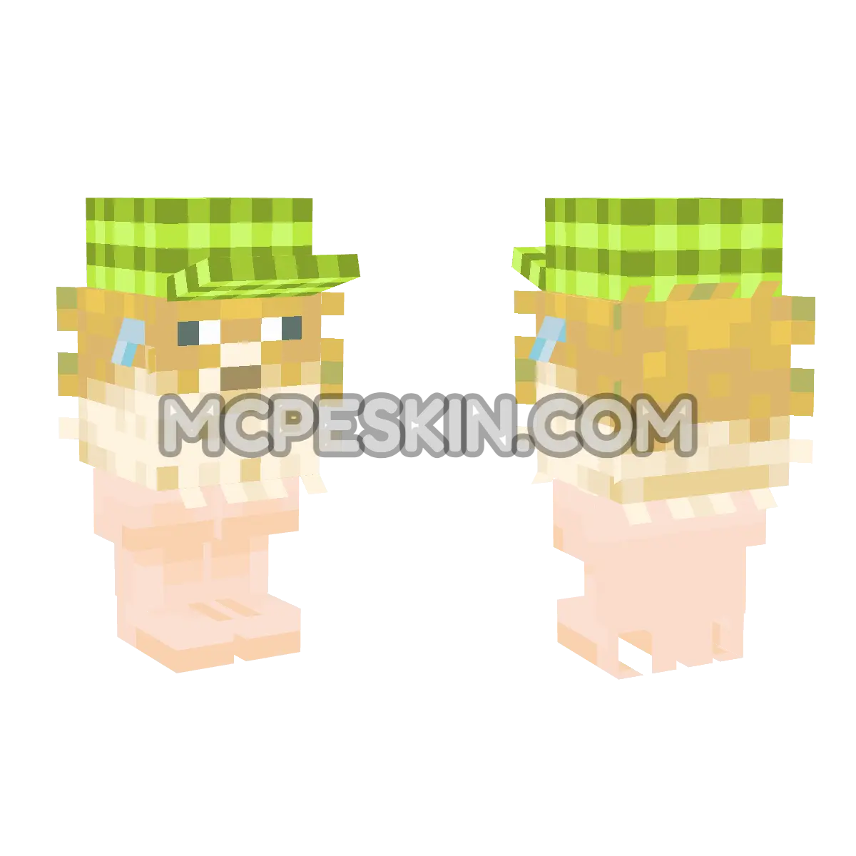 pezcap 4D Minecraft Bedrock skin