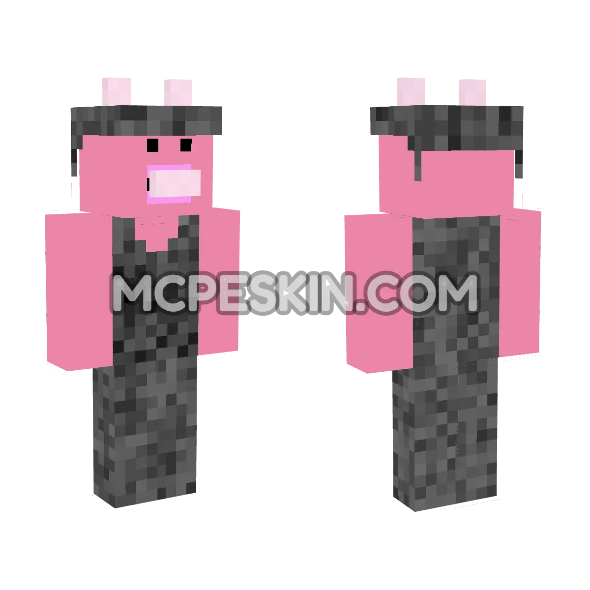 Piglet 9 4D Minecraft Bedrock skin