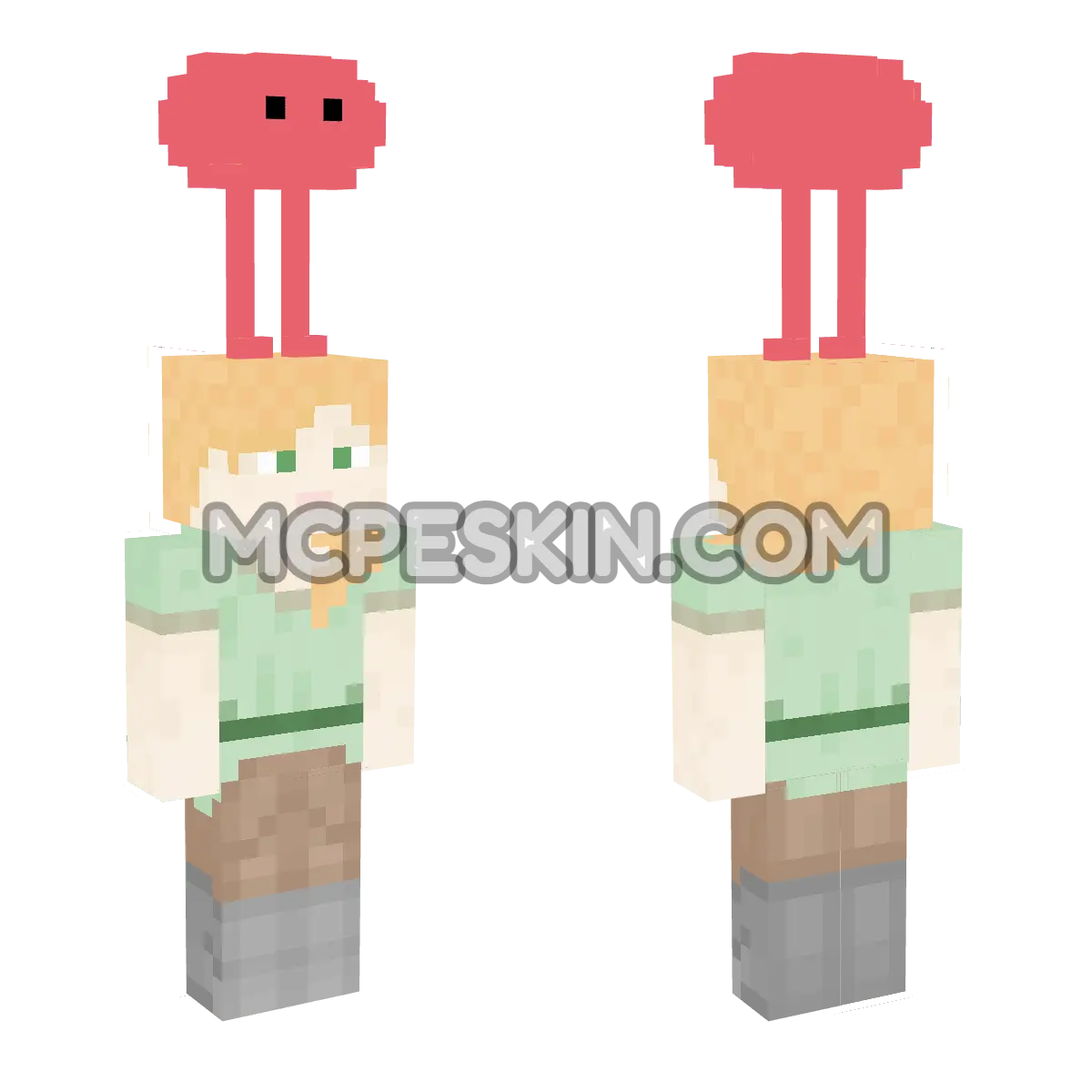 Piku 4D Minecraft Bedrock skin