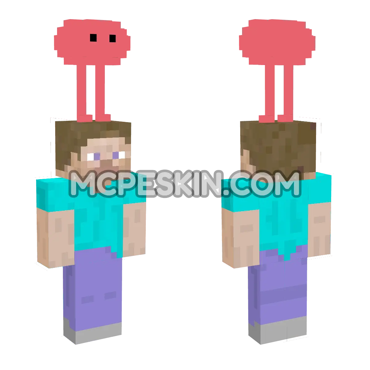 Piku 4D Minecraft Bedrock skin