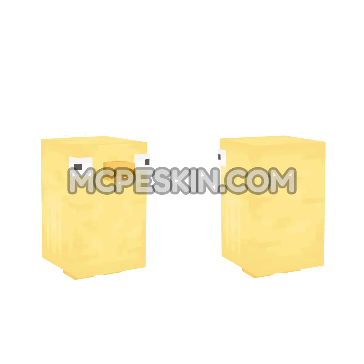 quac1 4D Minecraft Bedrock skin