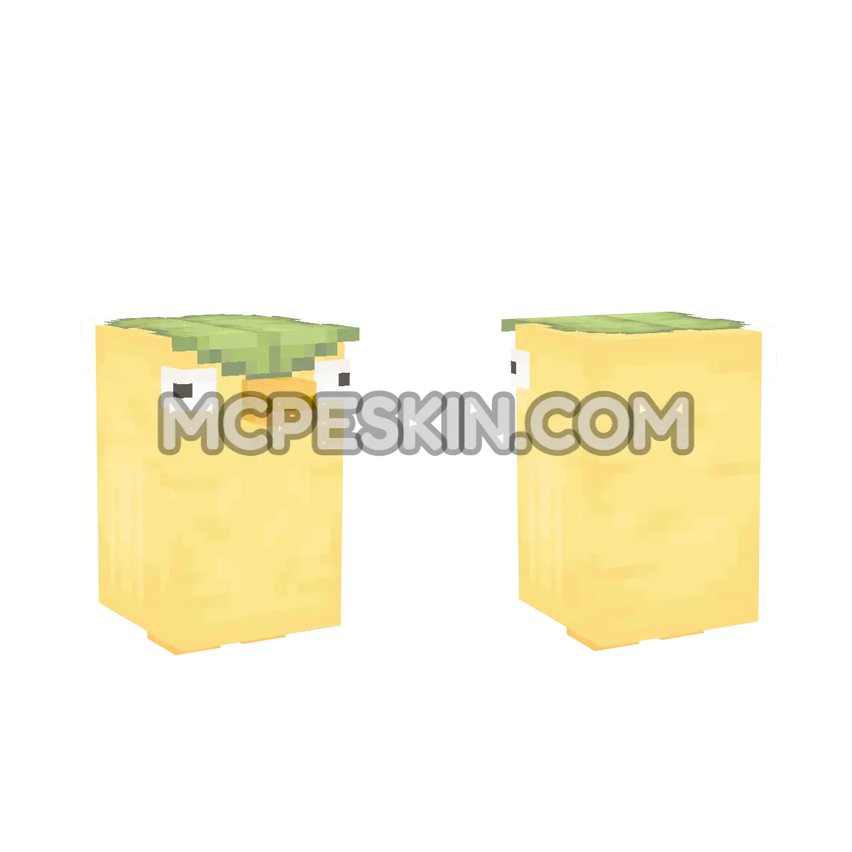 quac2 4D Minecraft Bedrock skin