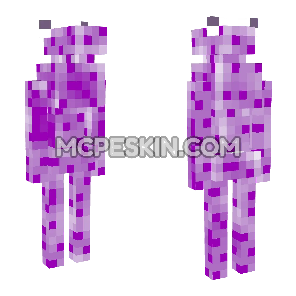 Rafito 4D Minecraft Bedrock skin