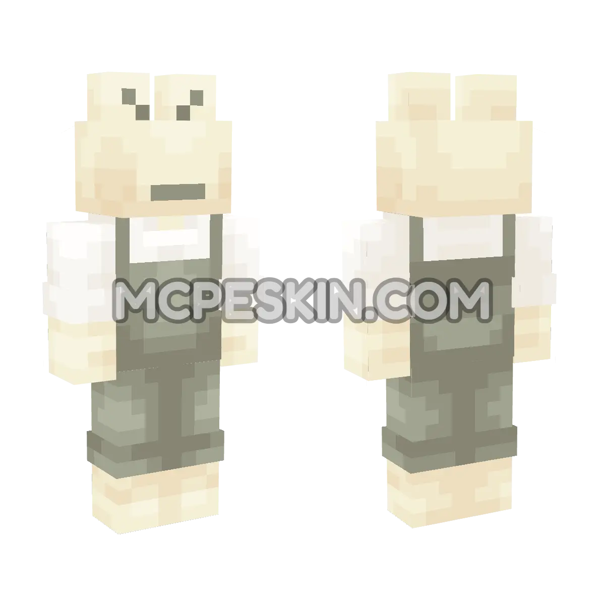 Rio 4D Minecraft Bedrock skin