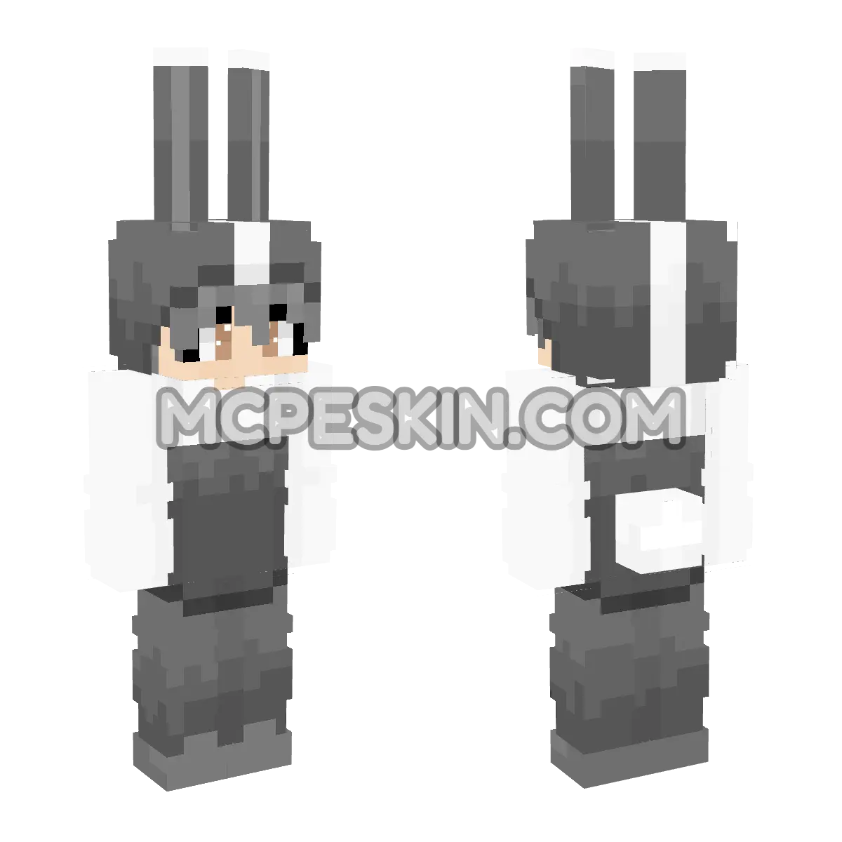 RM14 4D Minecraft Bedrock skin
