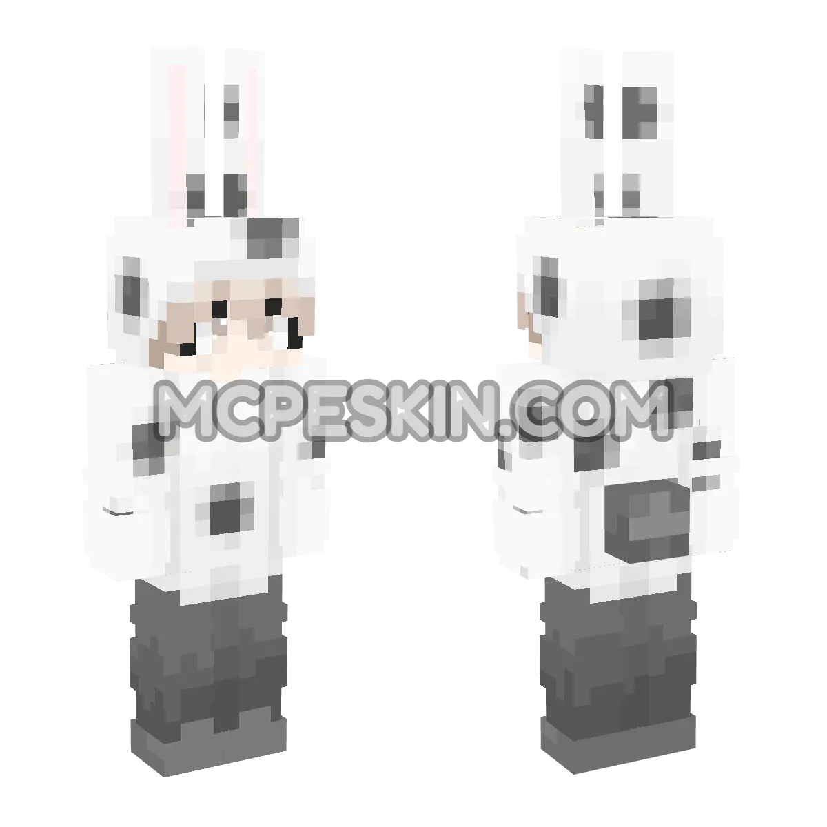 RM17 4D Minecraft Bedrock skin