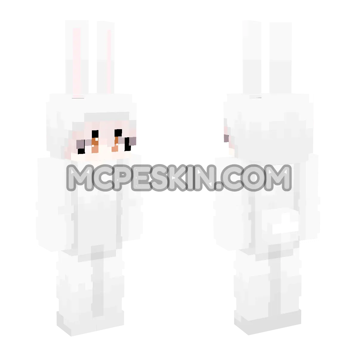 RM20 4D Minecraft Bedrock skin