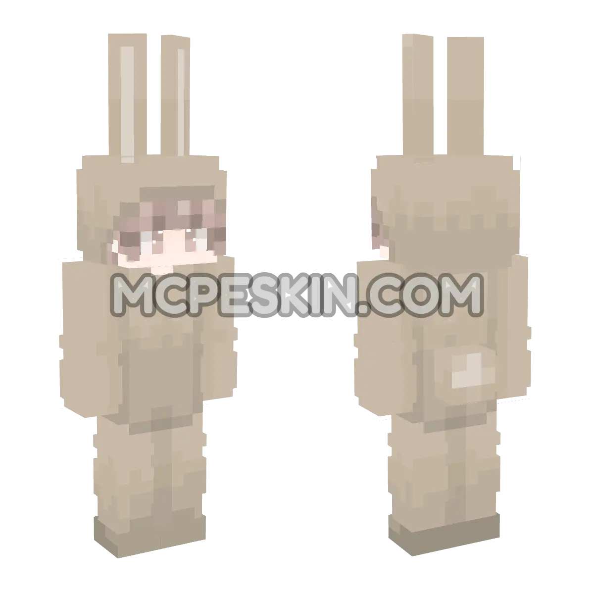 RM5 4D Minecraft Bedrock skin