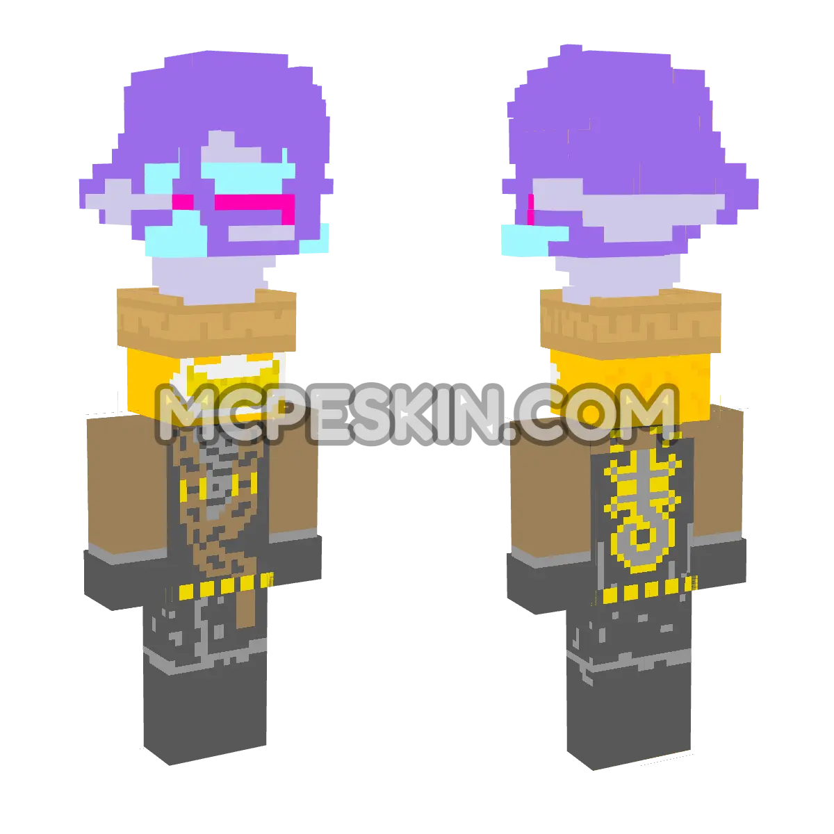 Rox Of The Forbidden Five with 8-bit Kris Sprite 4D Minecraft Bedrock skin