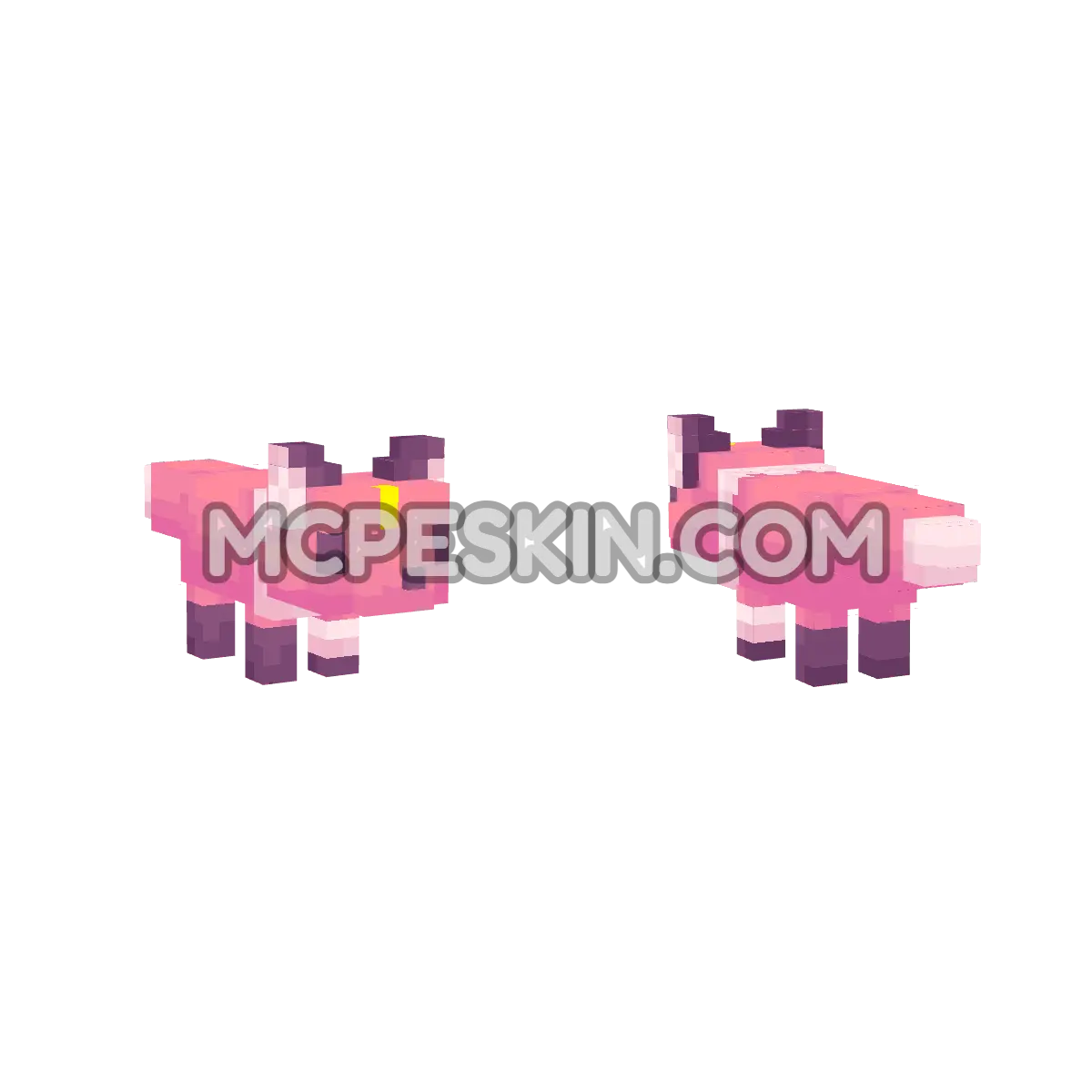 Rue 4D Minecraft Bedrock skin