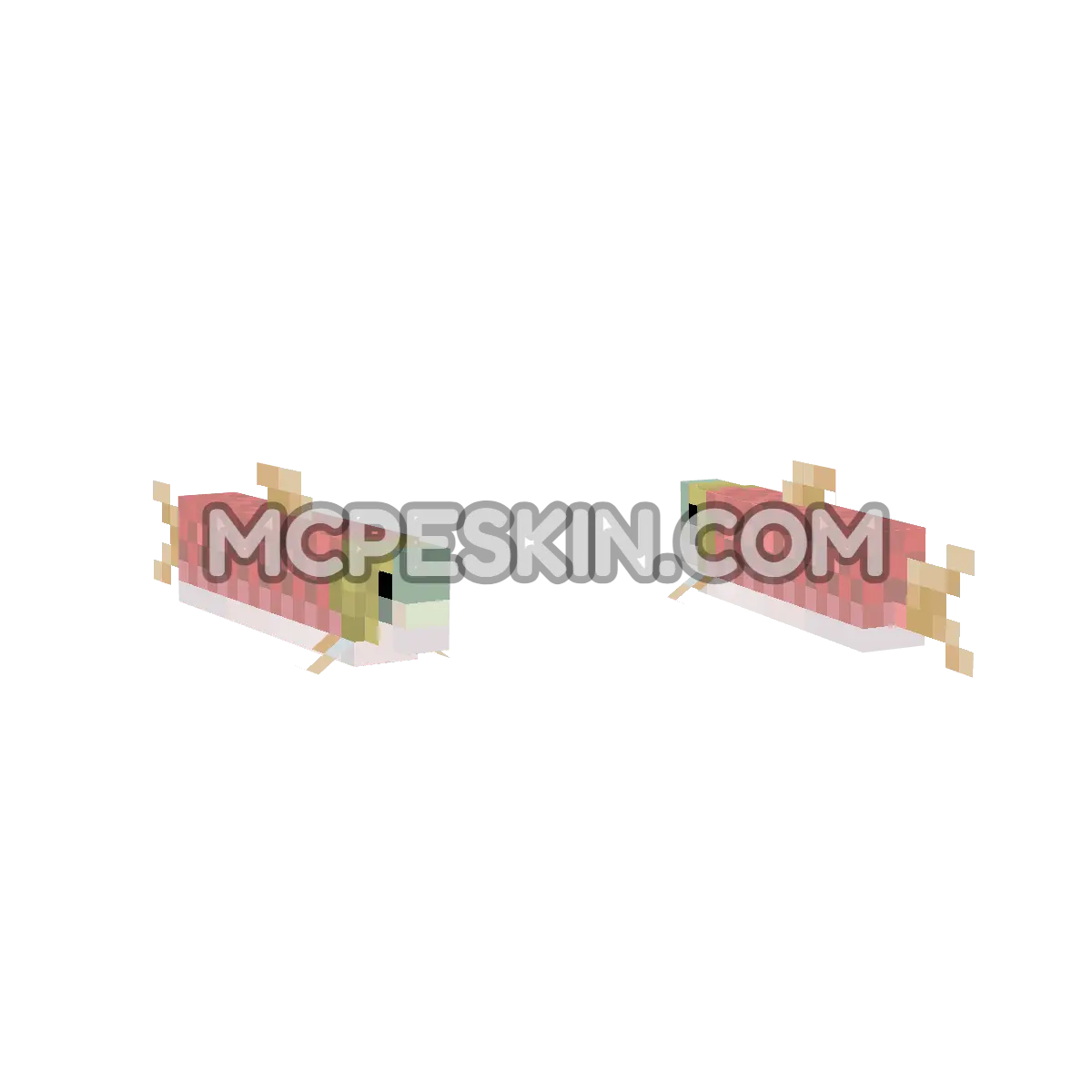 Salmon 4D Minecraft Bedrock skin