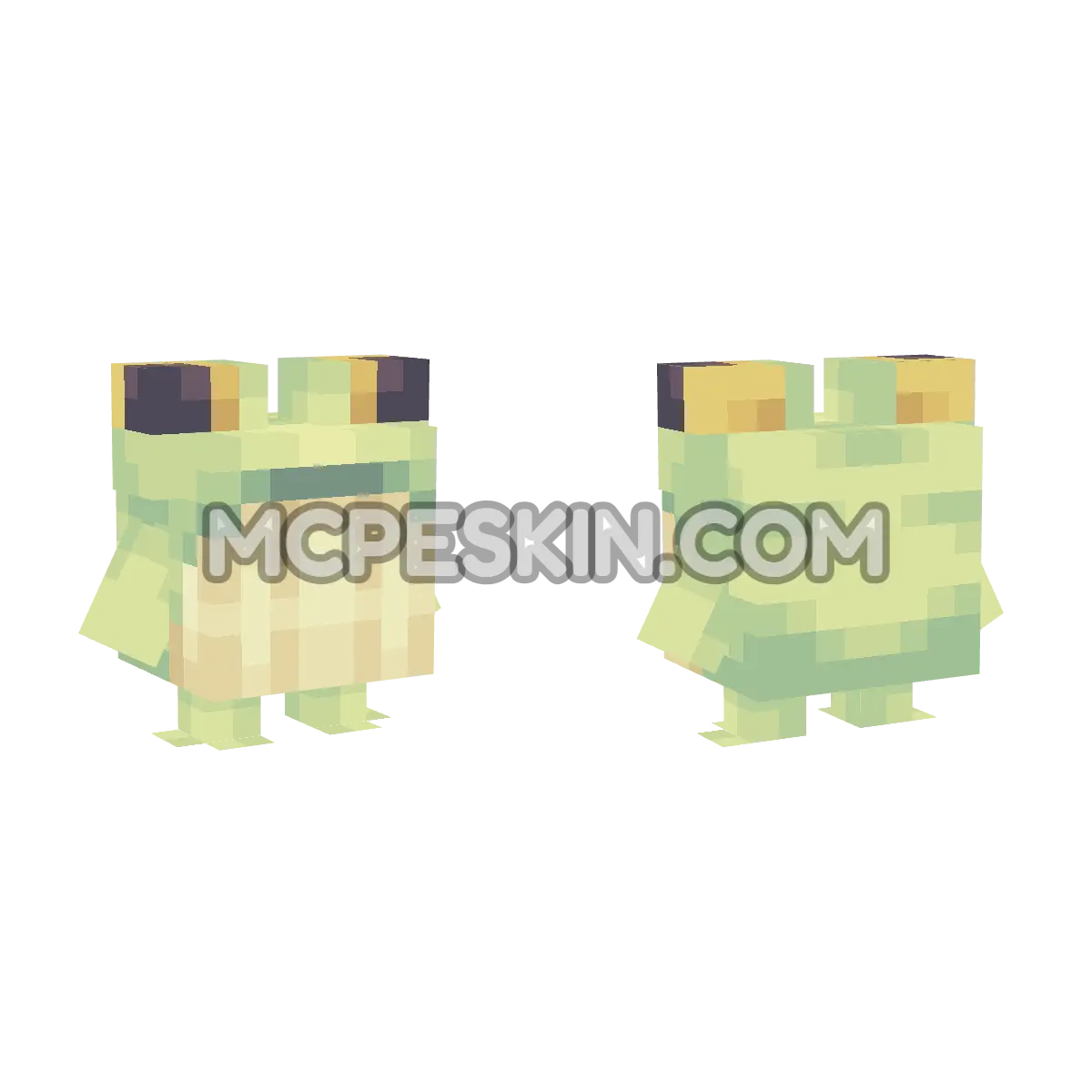 sapo 4D Minecraft Bedrock skin