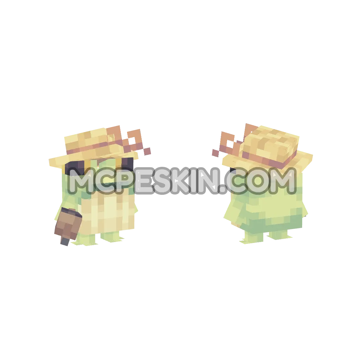 sapoG 4D Minecraft Bedrock skin