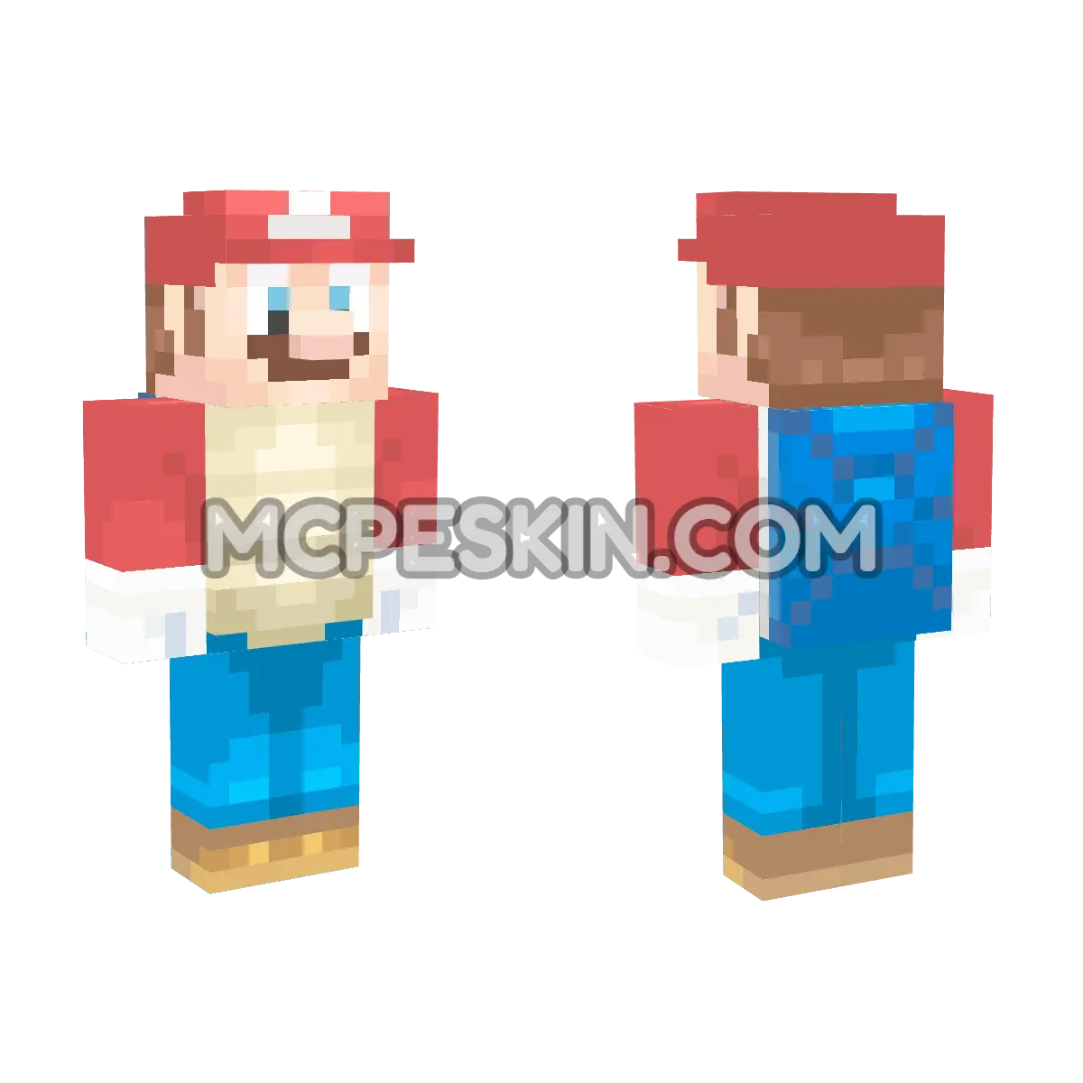 Shell Mario 4D Minecraft Bedrock skin