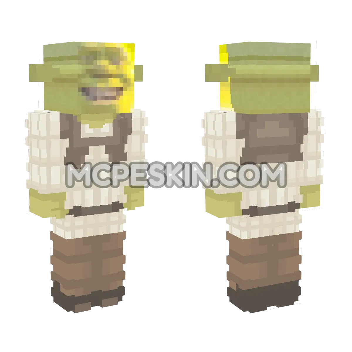 Shrek 12 4D Minecraft Bedrock skin