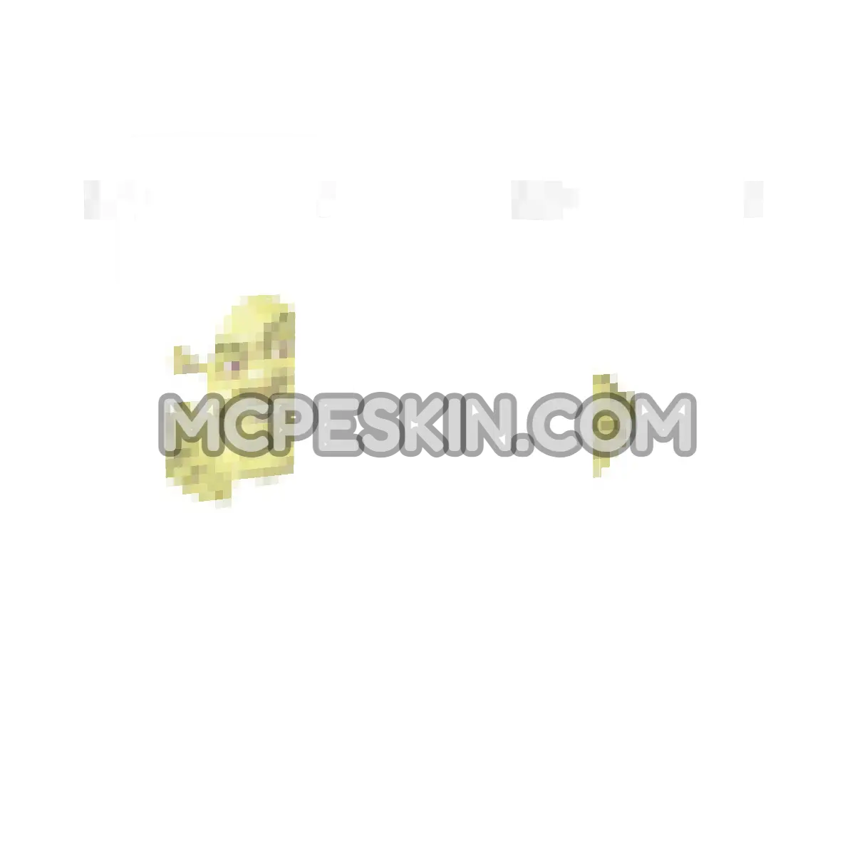 Shrek 6 4D Minecraft Bedrock skin