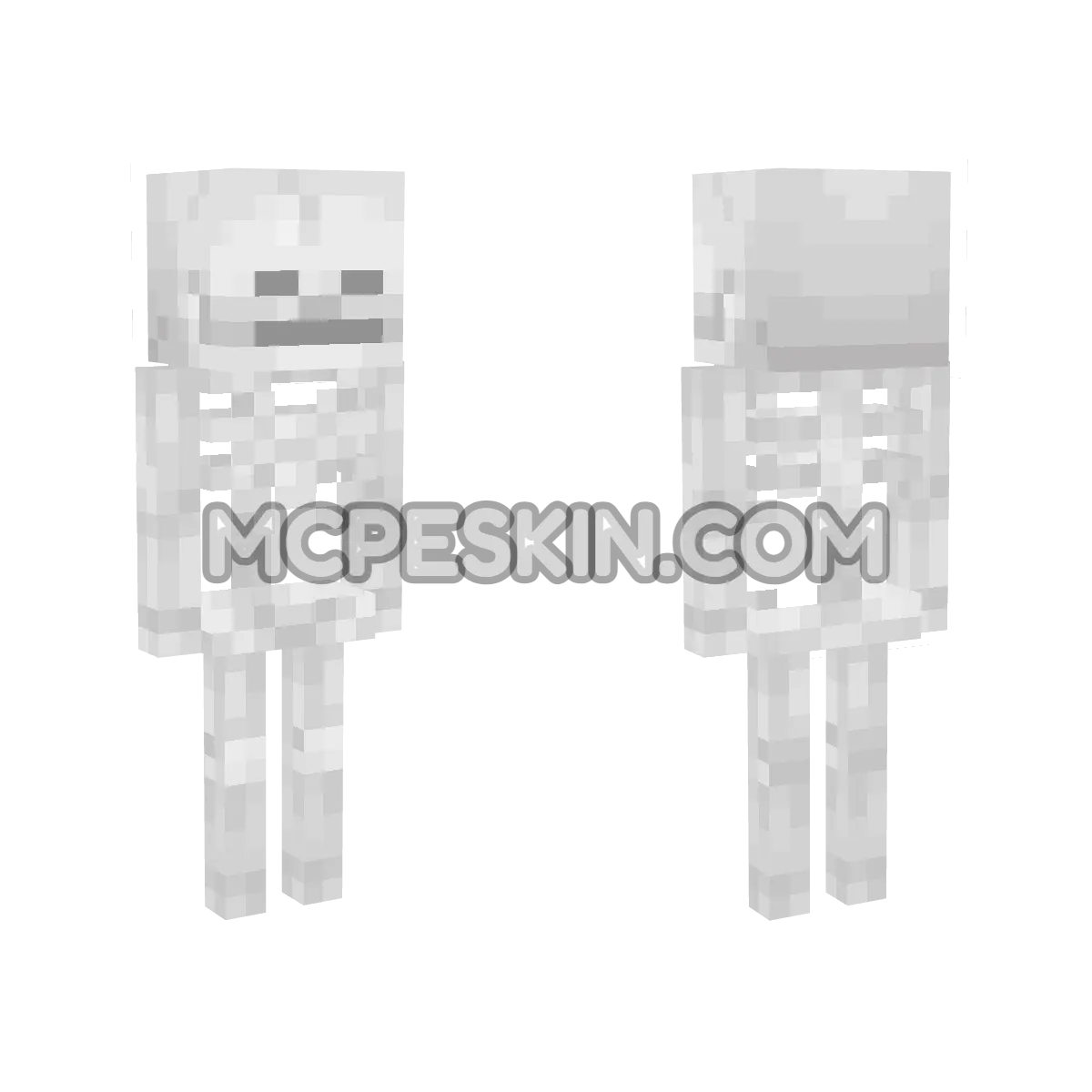 skeletonnew 4D Minecraft Bedrock skin
