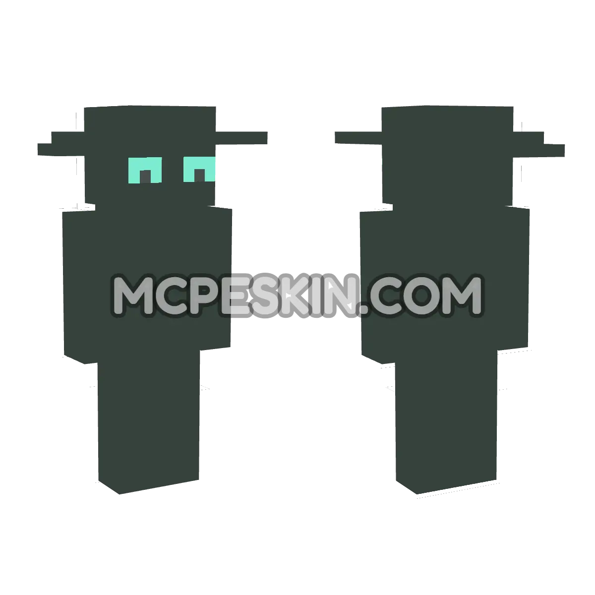 skin15 4D Minecraft Bedrock skin