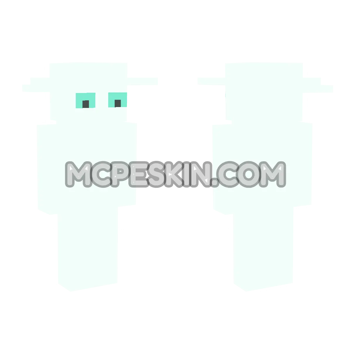 skin16 4D Minecraft Bedrock skin