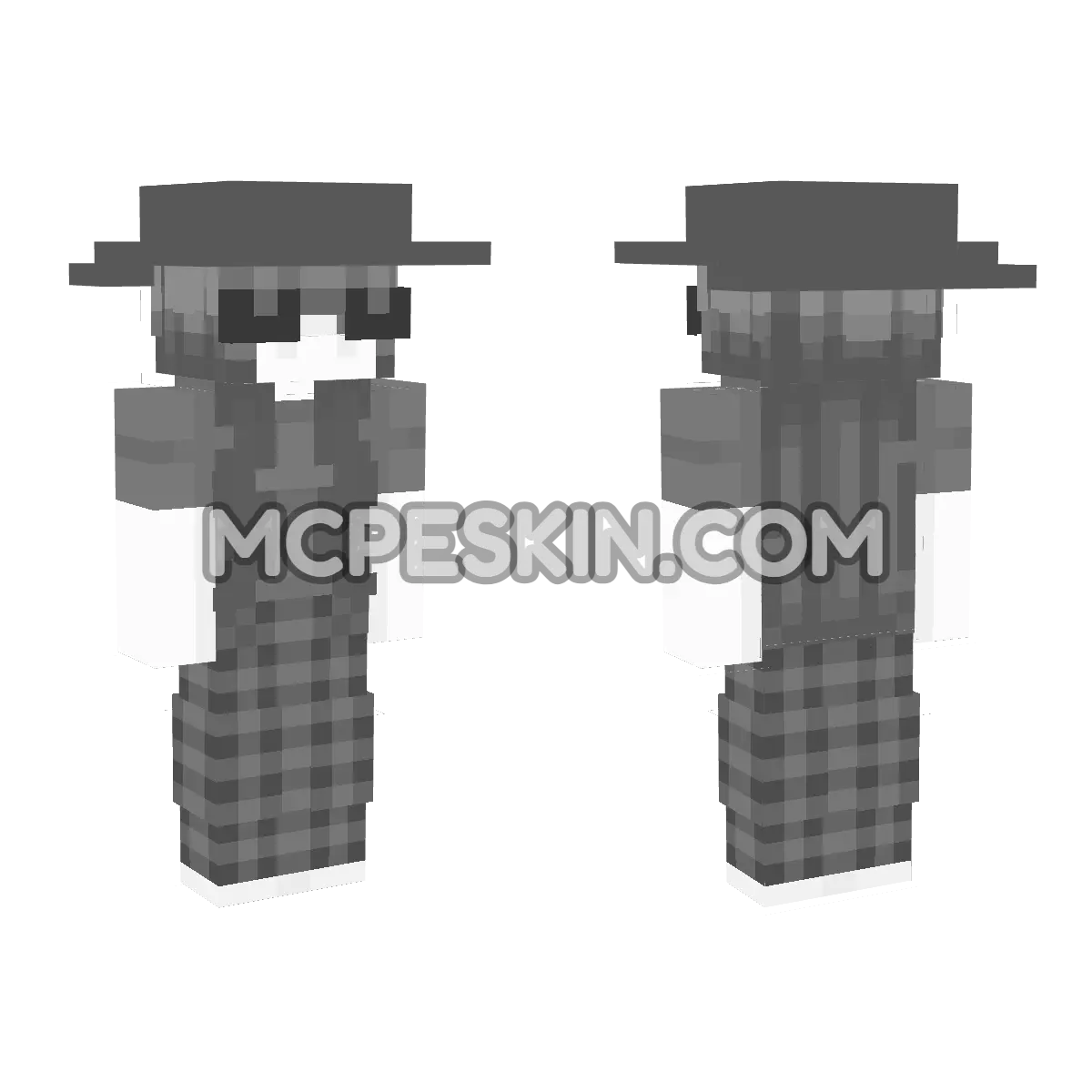 Skin2 4D Minecraft Bedrock skin