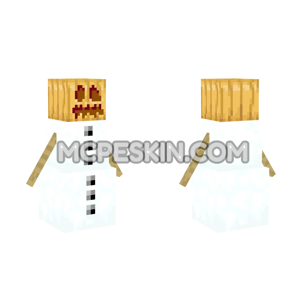 SnowGolemWithPumpkin 4D Minecraft Bedrock skin