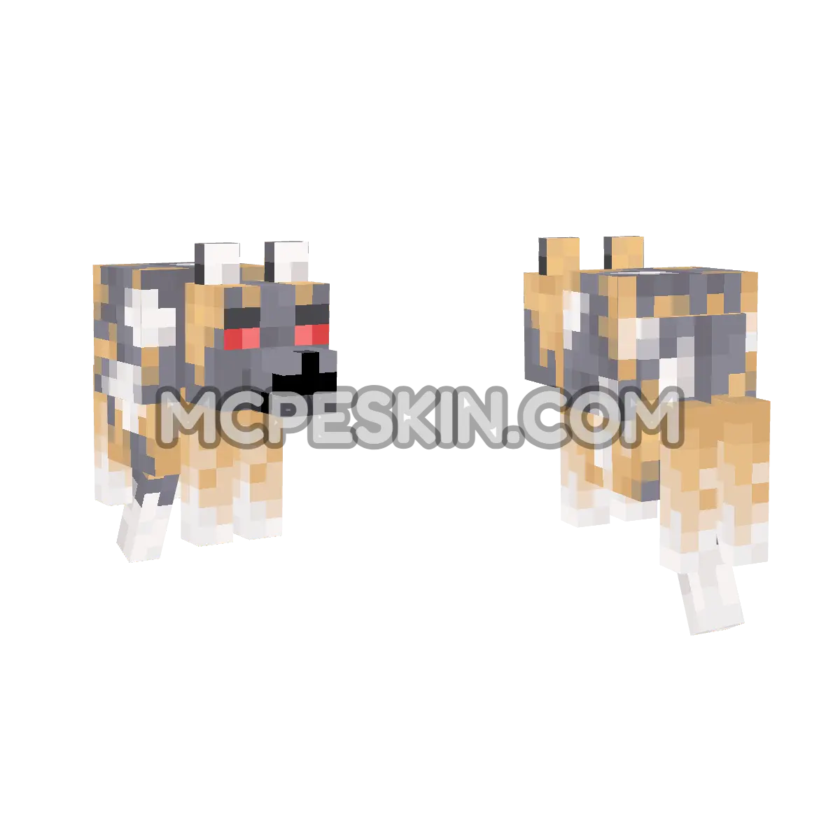 spotted_angry 4D Minecraft Bedrock skin