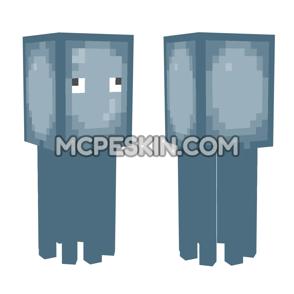 Squid 4D Minecraft Bedrock skin